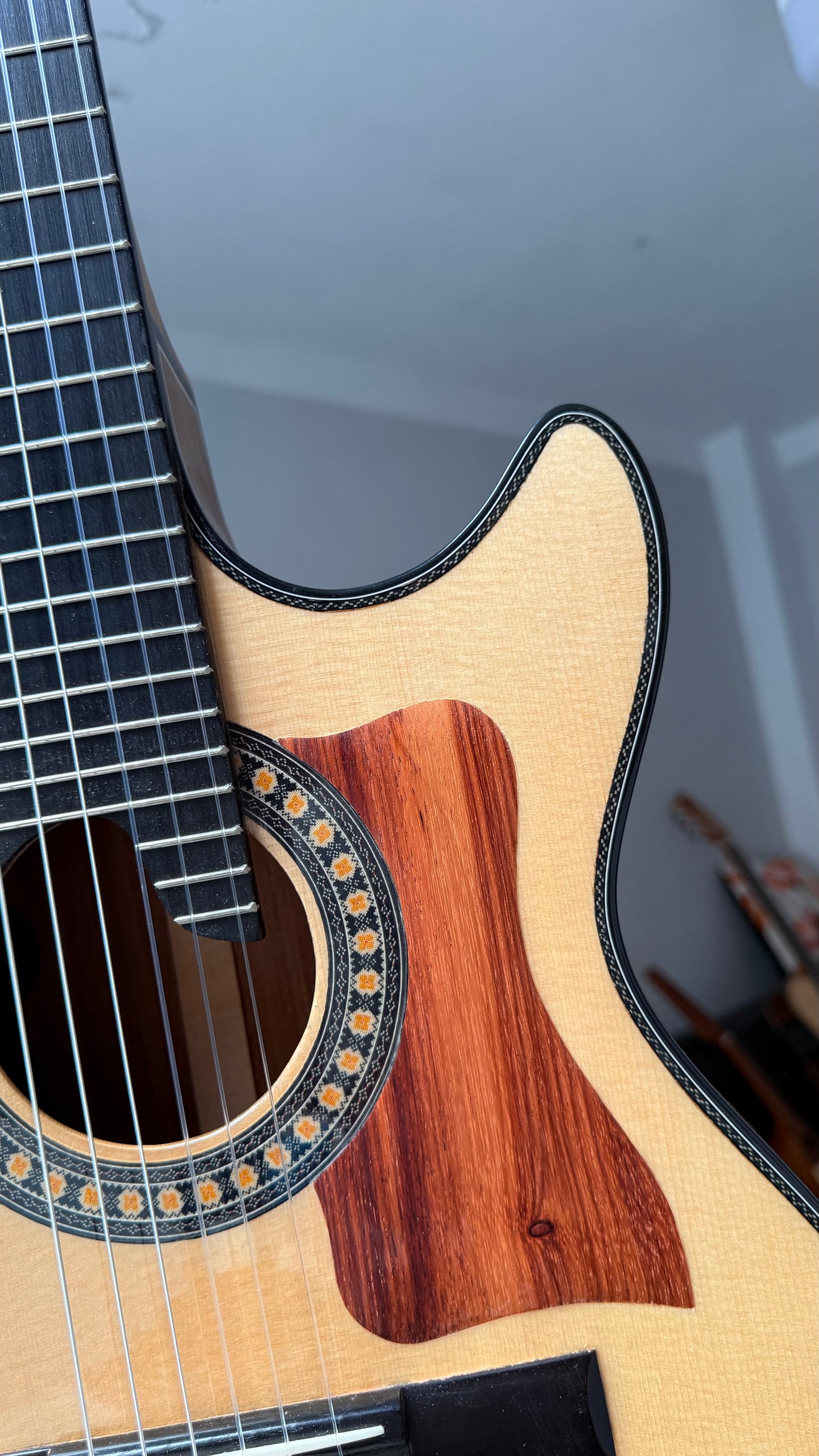 Guitarras Andina