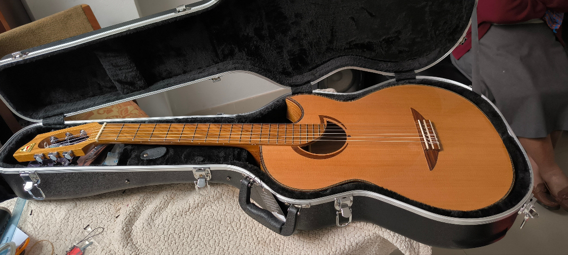 Maleta de guitarra