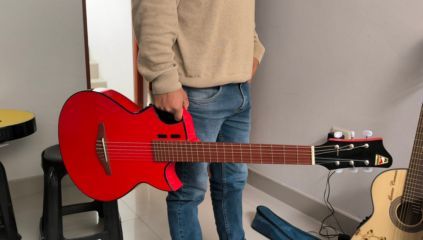 Cientos de guitarras personalizadas