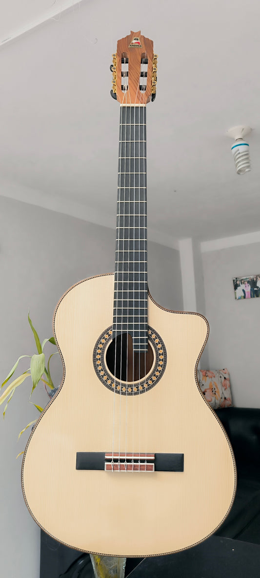 Guitarra Andina AN500 Gold - Profesional con Sistema RMC Sensores Oro