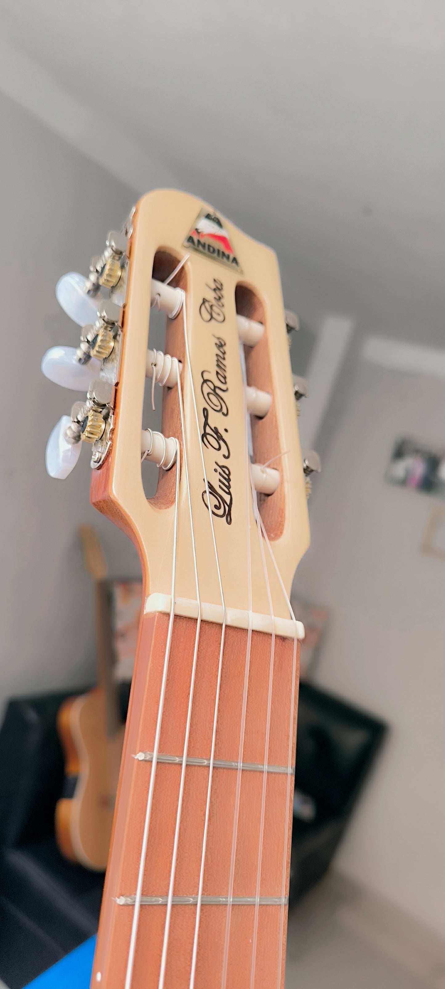 Cientos de guitarras personalizadas
