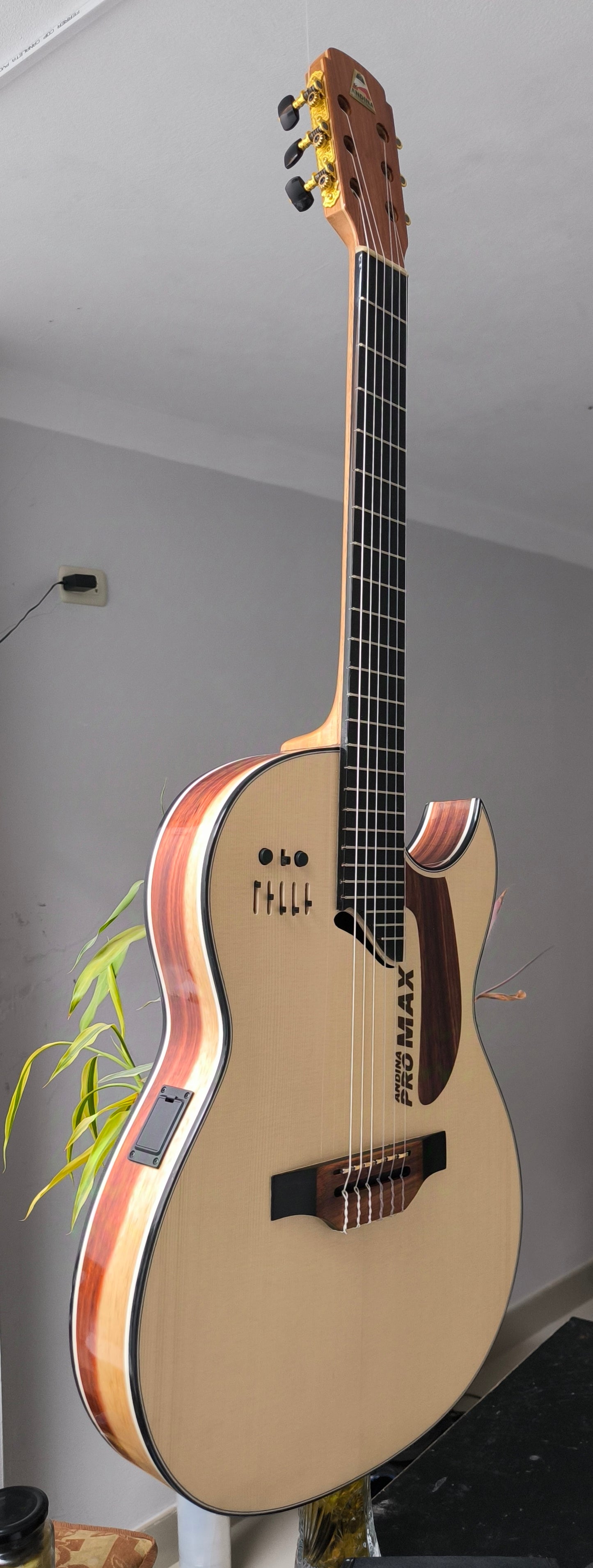 Cientos de guitarras personalizadas