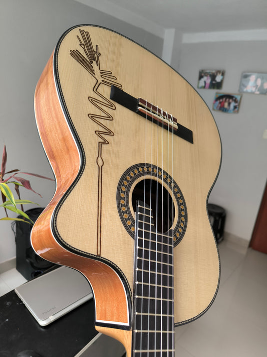 Guitarra Andina AN500 Premium 2 - Palo de Hierro con Sistema ARTEC LCD y Diseño Nazca