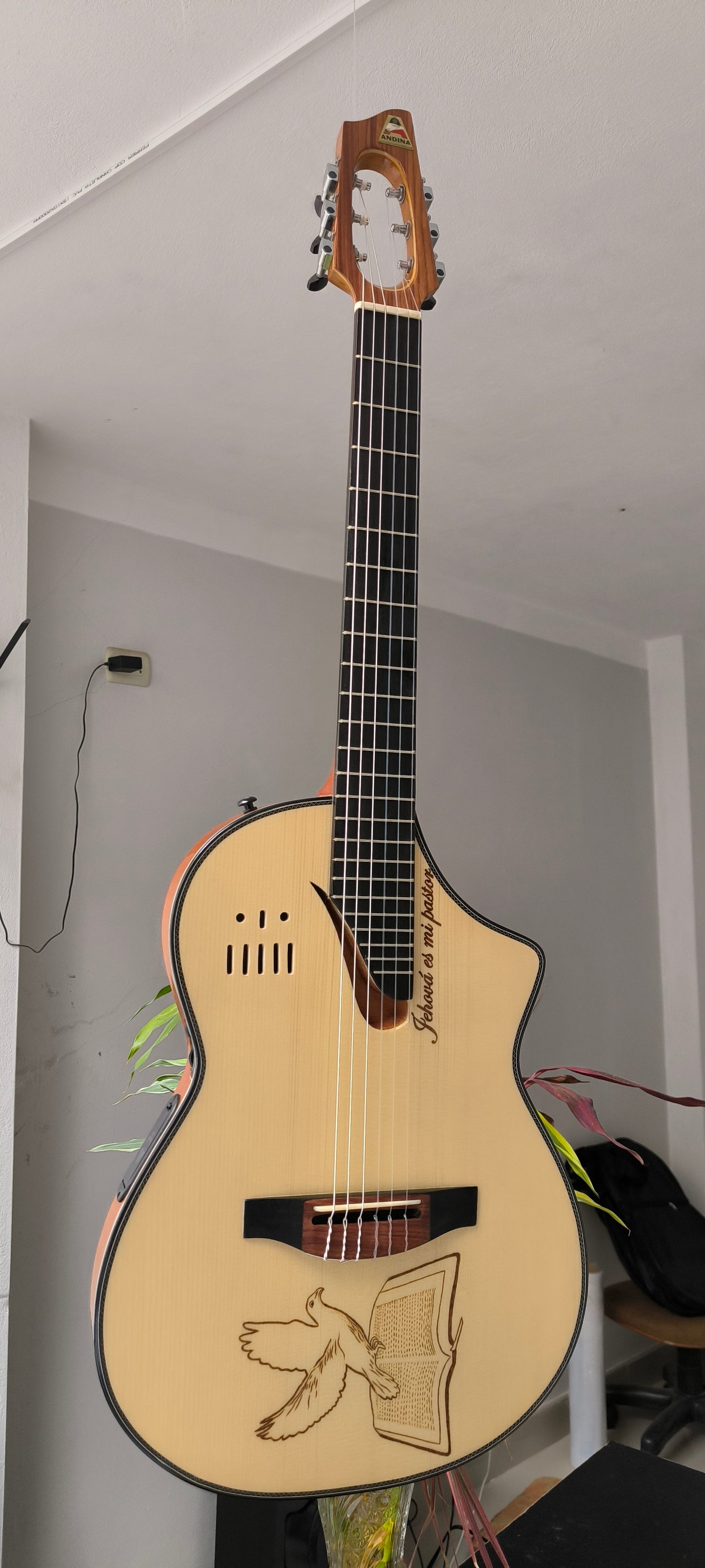 Cientos de guitarras personalizadas