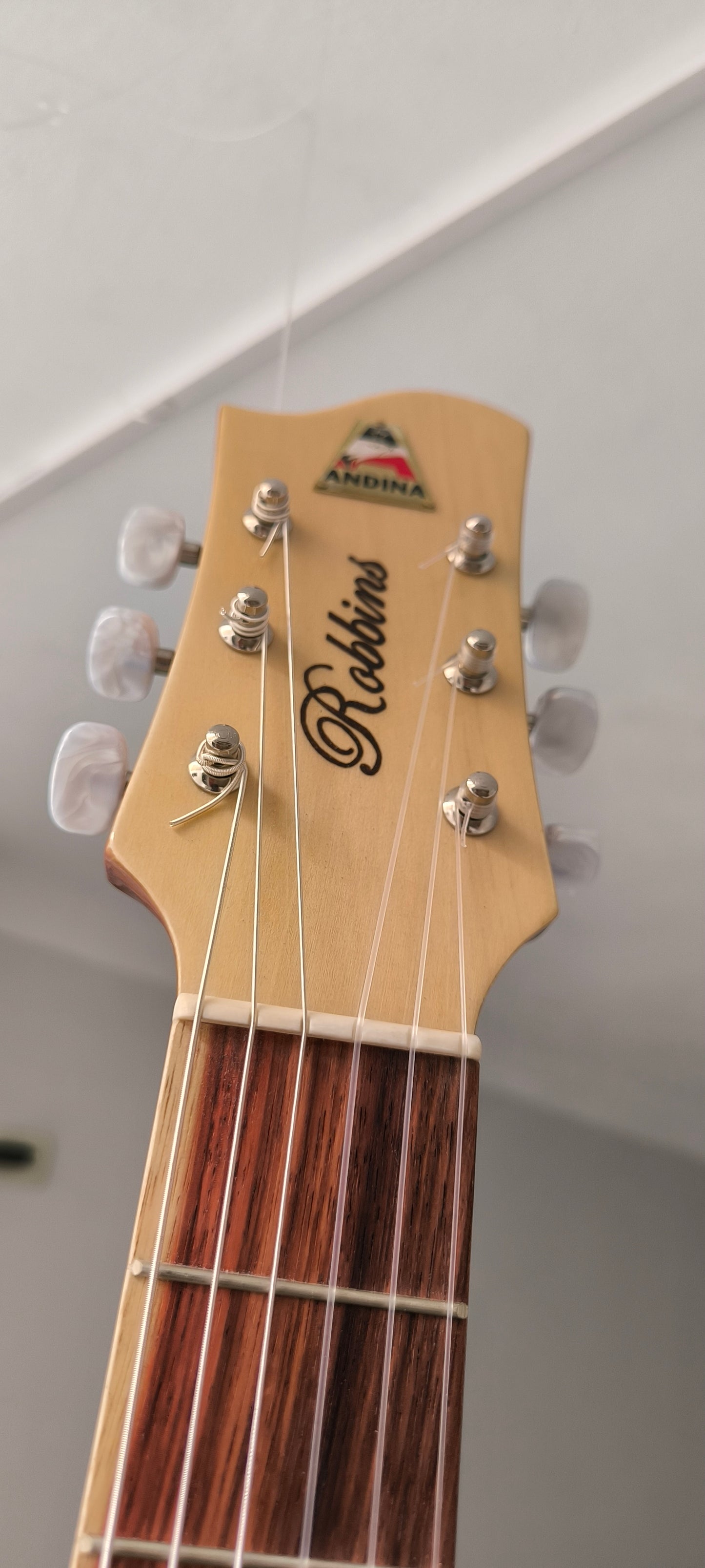 Cientos de guitarras personalizadas
