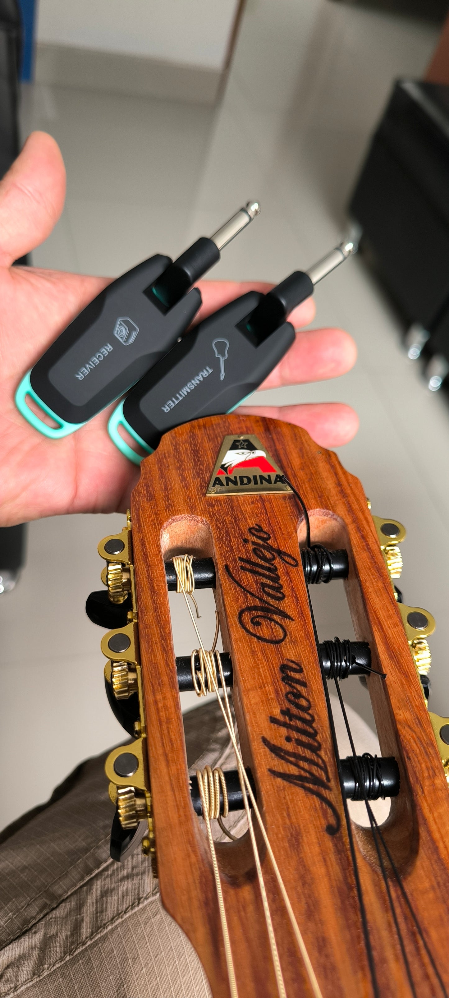 Sistema inalámbrico WS-70
