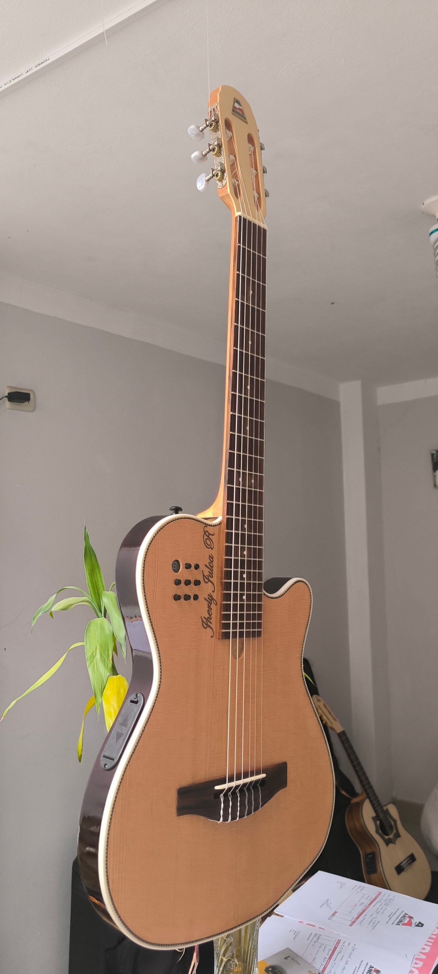 Cientos de guitarras personalizadas