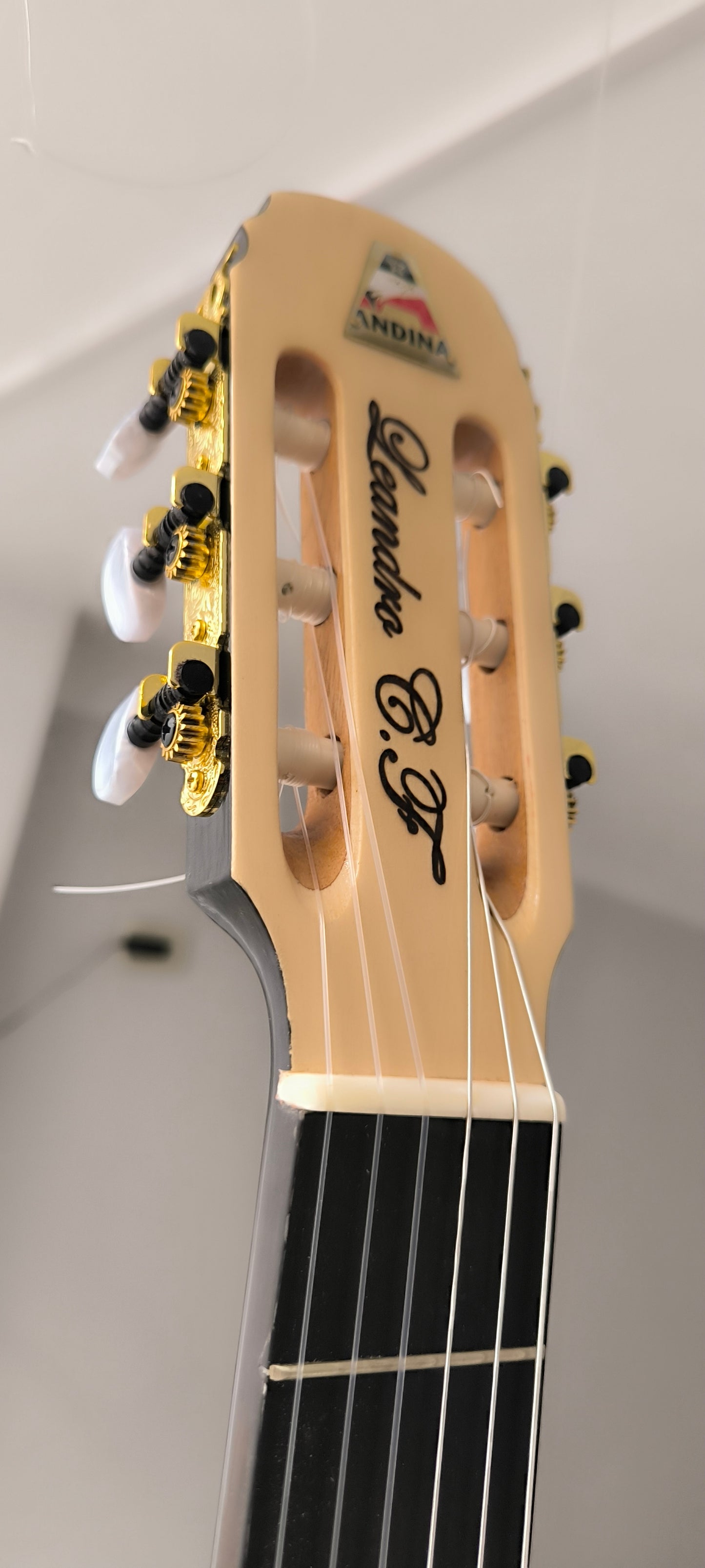 Cientos de guitarras personalizadas