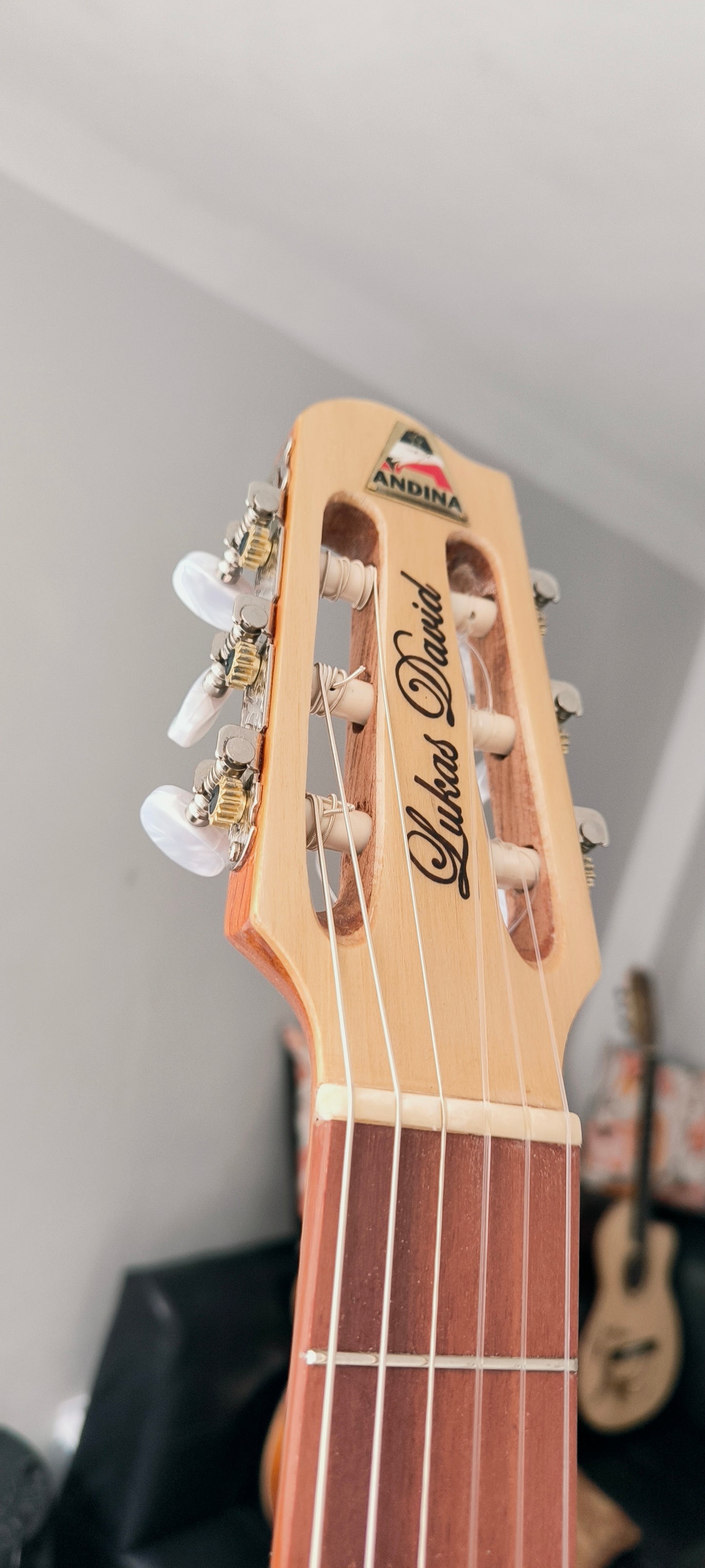 Cientos de guitarras personalizadas