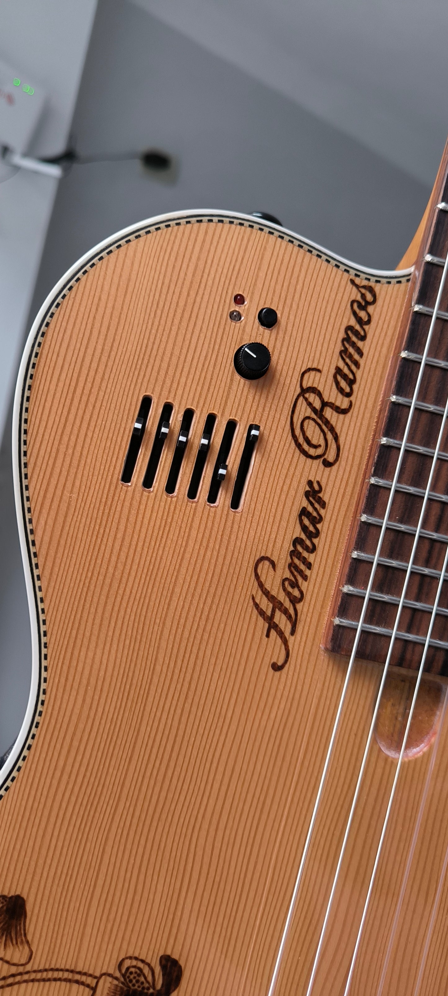Cientos de guitarras personalizadas