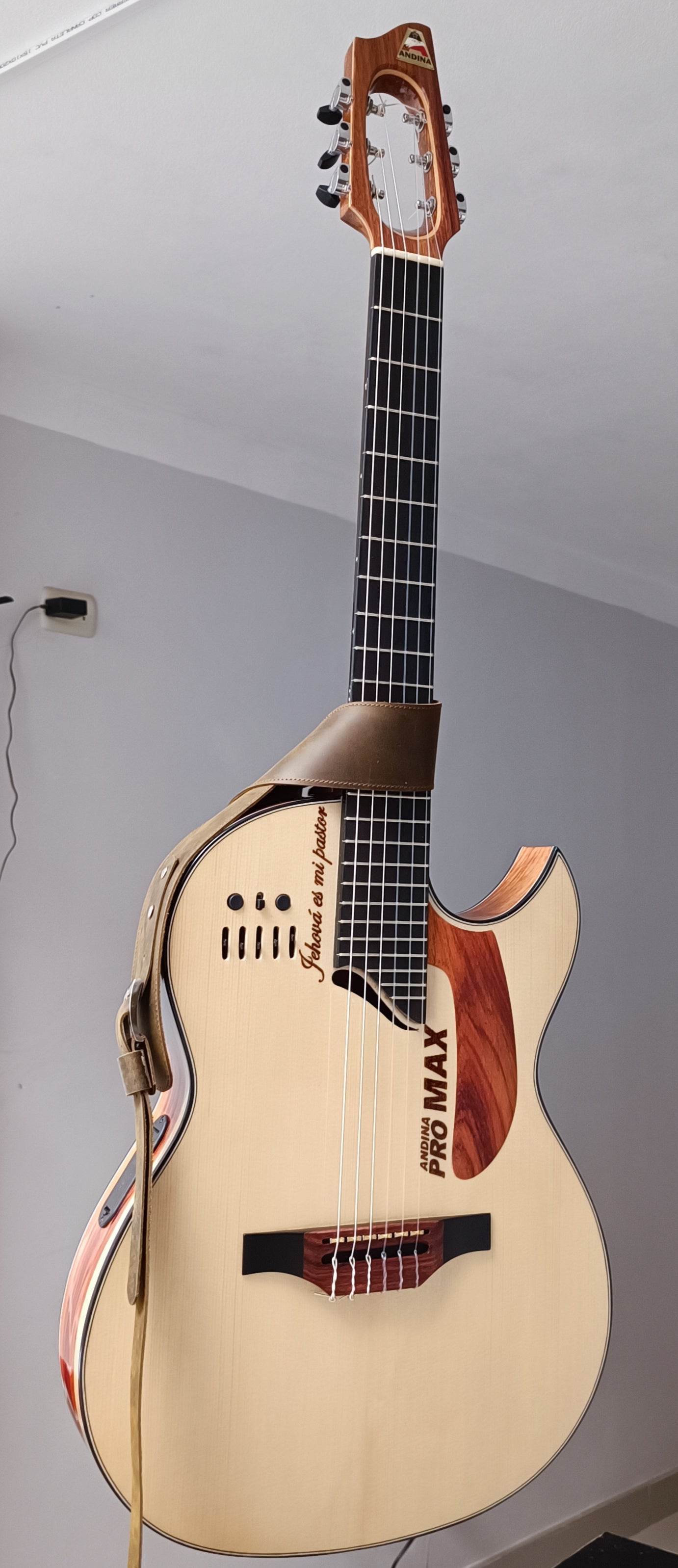 ANDINA PRO MAX GOLD profesional