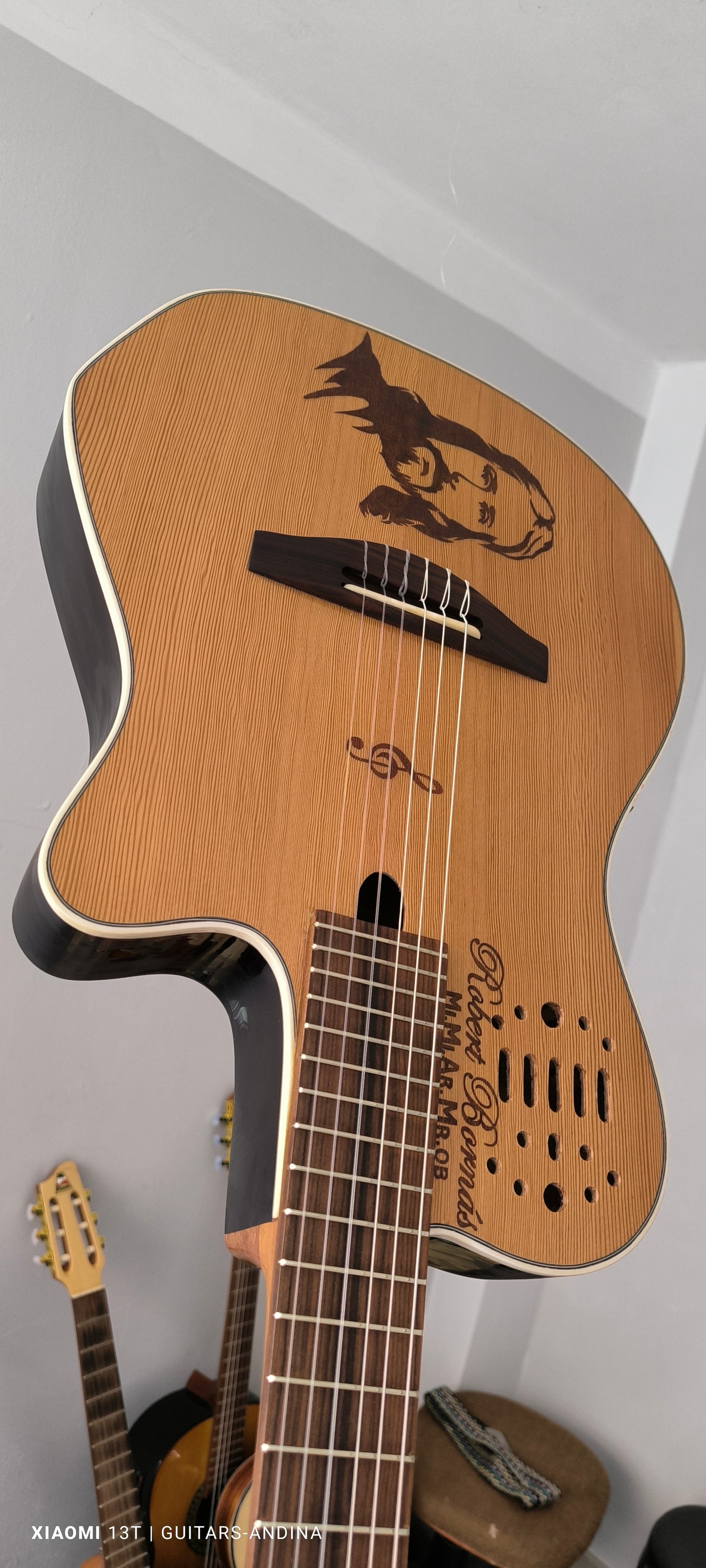 Cientos de guitarras personalizadas