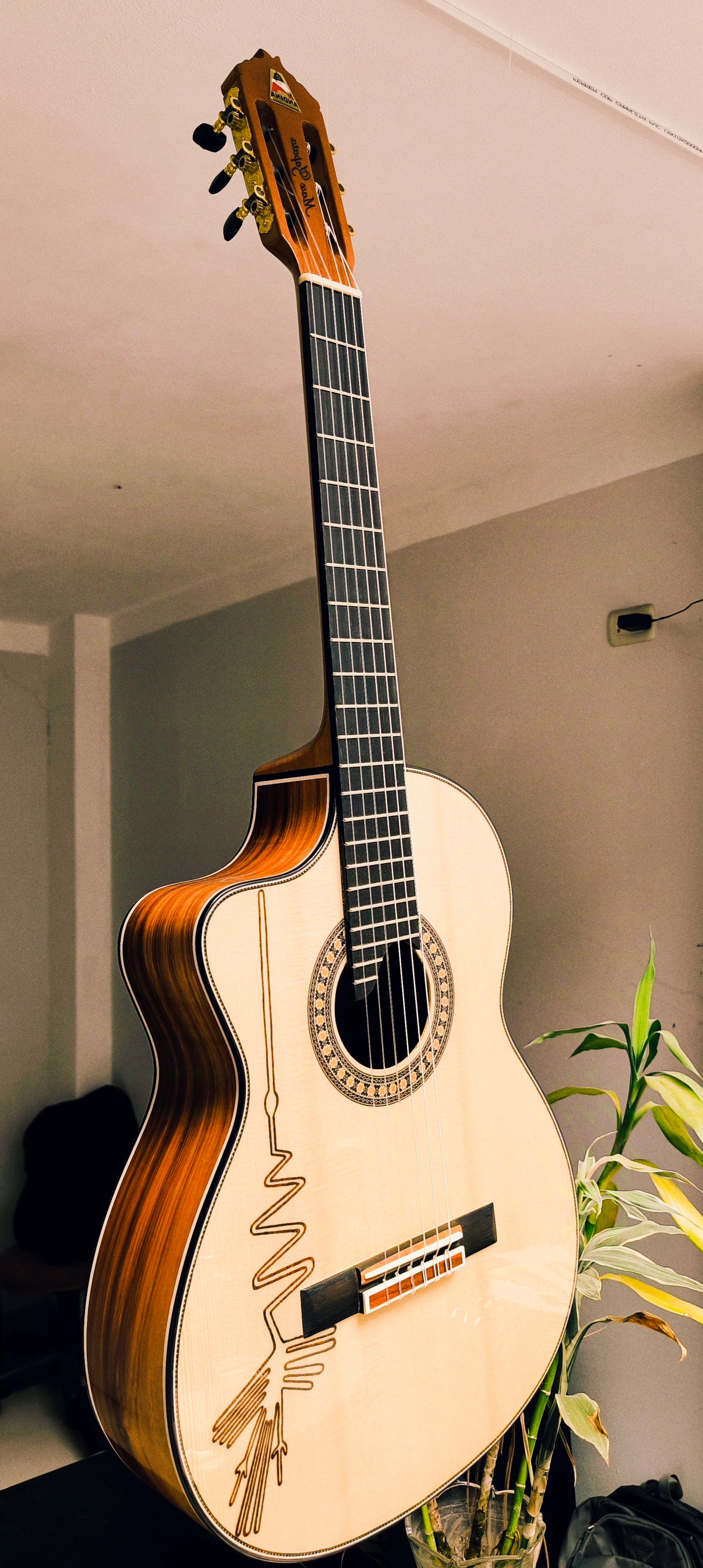 AN500 PREMIUM ZURDO