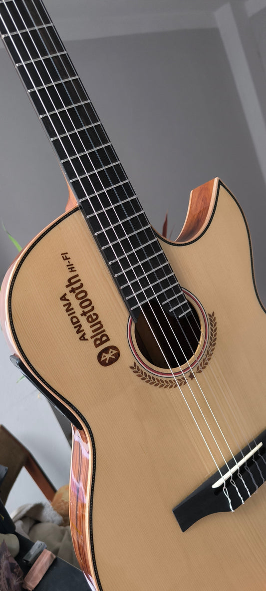 Guitarra Andina Bluetooth HiFi - Pantalla Táctil y Sistema Eddy Box con Efectos Digitales