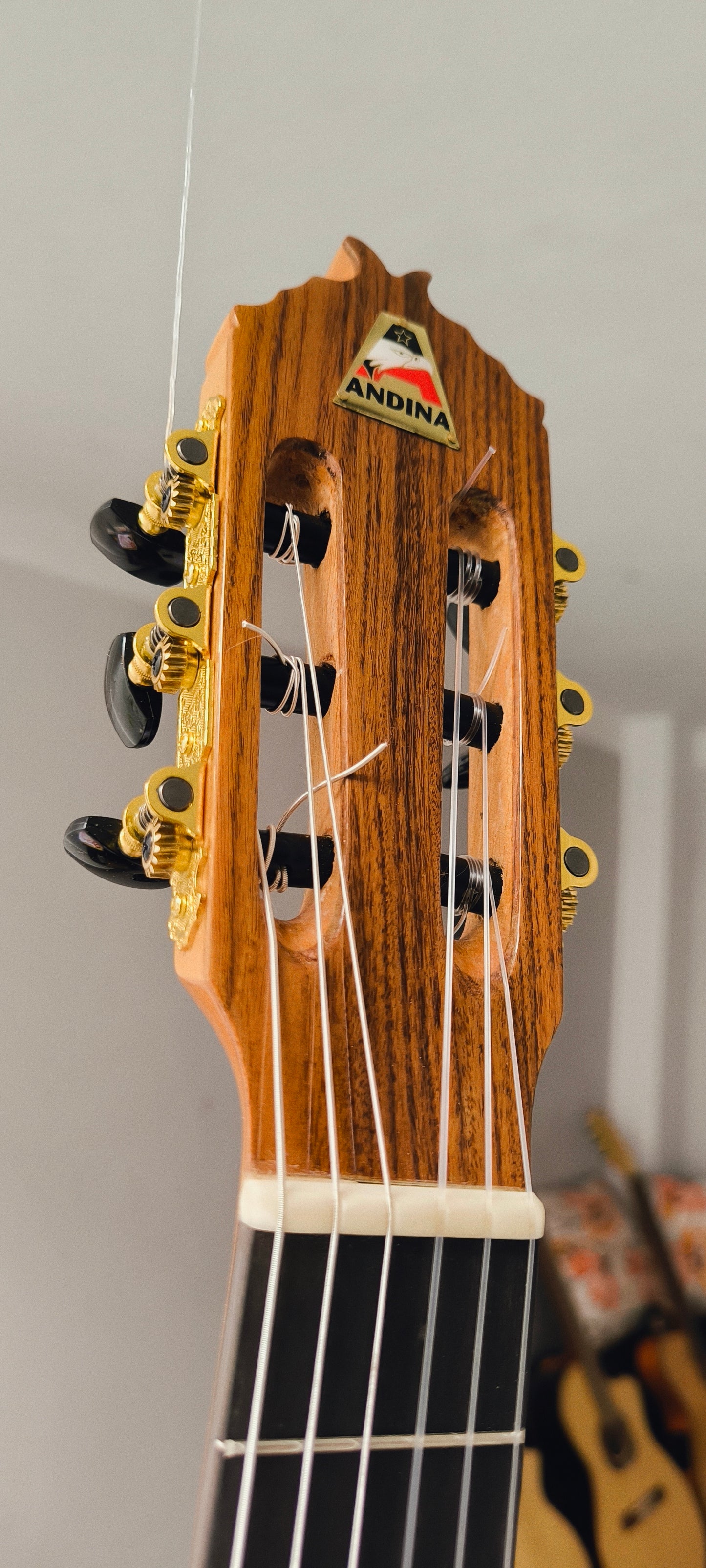 Cientos de guitarras personalizadas