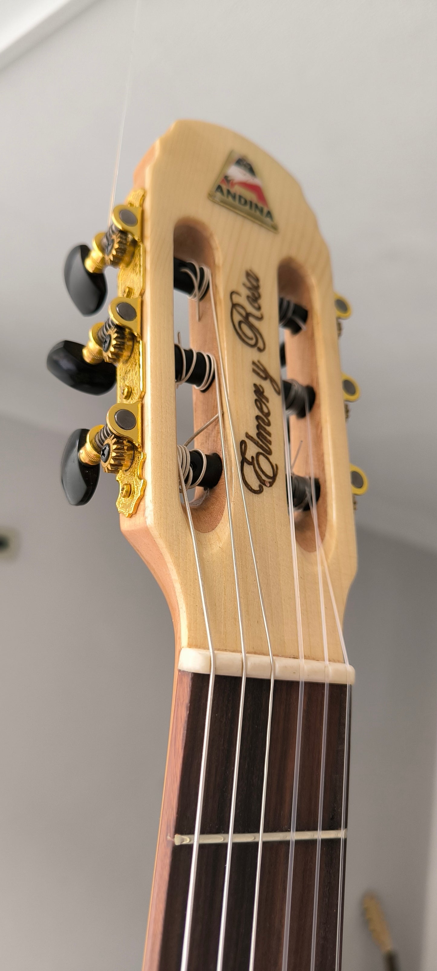 Cientos de guitarras personalizadas