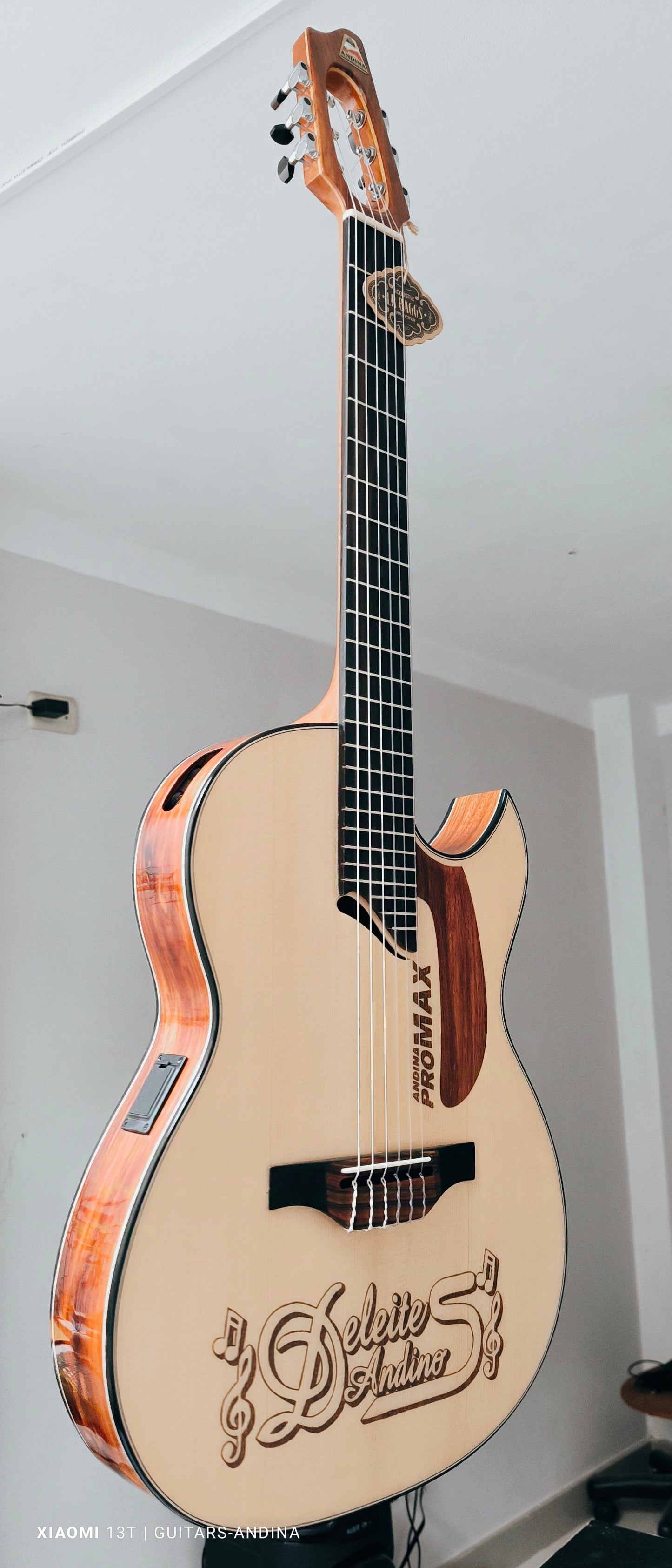 Cientos de guitarras personalizadas
