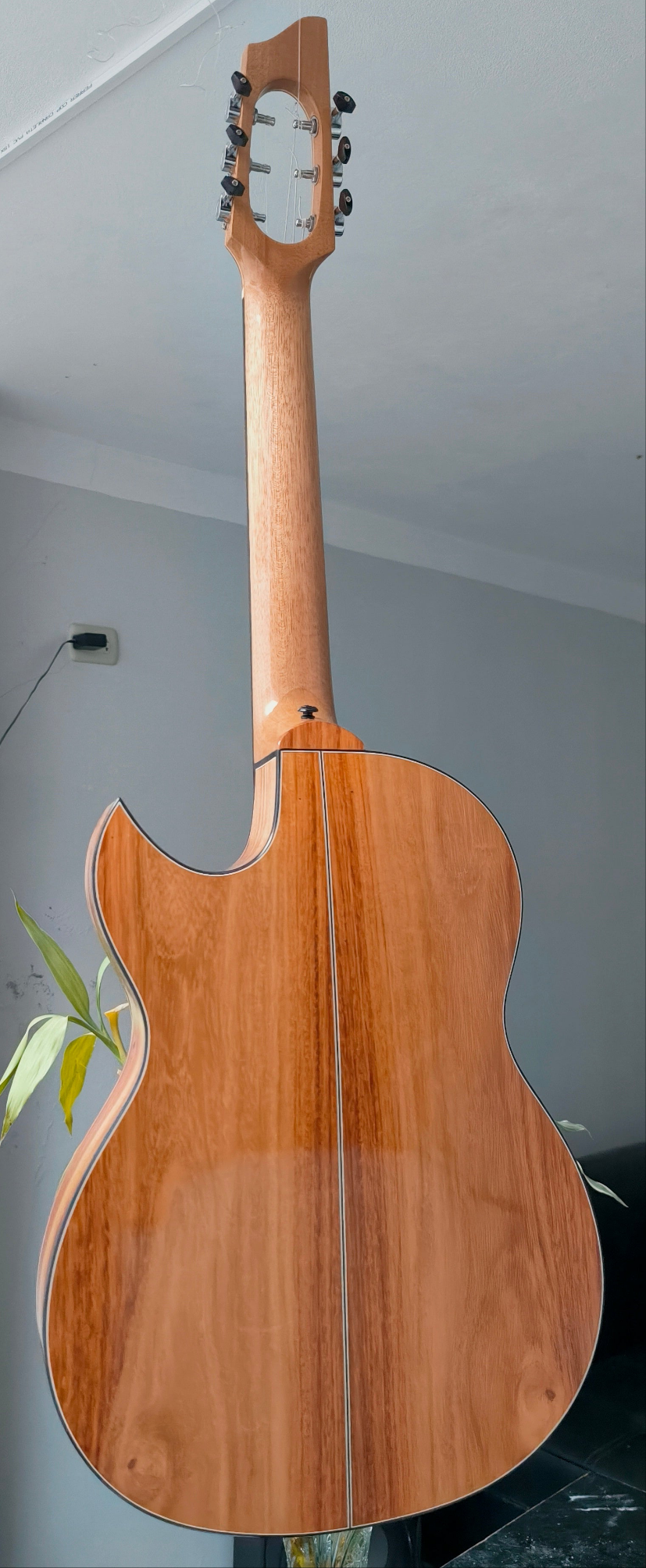 Guitarra Andina Corazón - Boca en Forma de Corazón con Sistema Rlbags Oculto