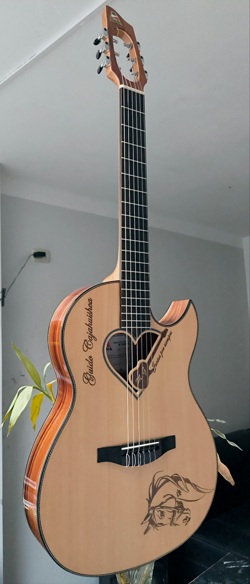 Guitarra Andina Corazón - Boca en Forma de Corazón con Sistema Rlbags Oculto