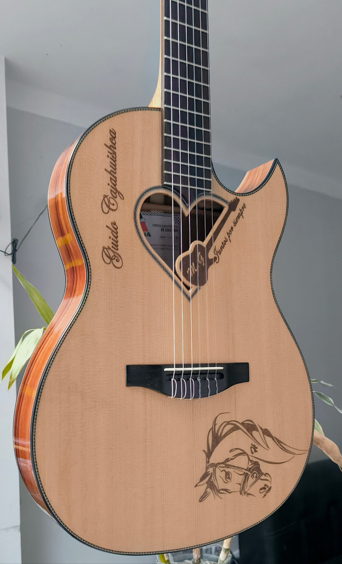 Guitarra Andina Corazón - Boca en Forma de Corazón con Sistema Rlbags Oculto