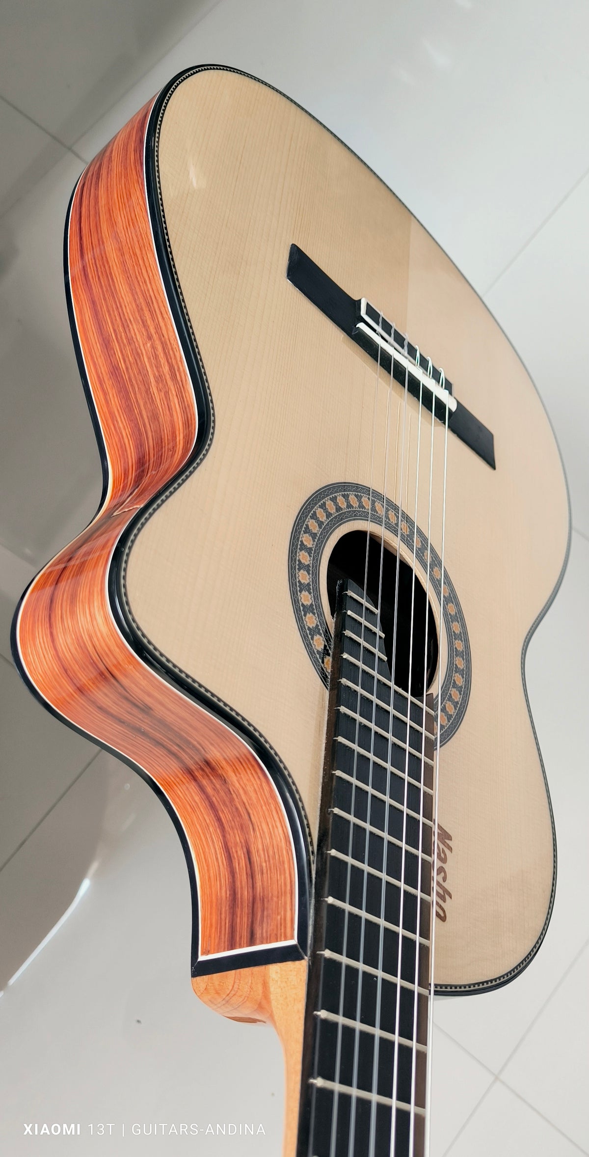 Guitarra Andina AN500 Slim Profesional - Palo de Hierro y Pino Báltico con Sistema Rlbags