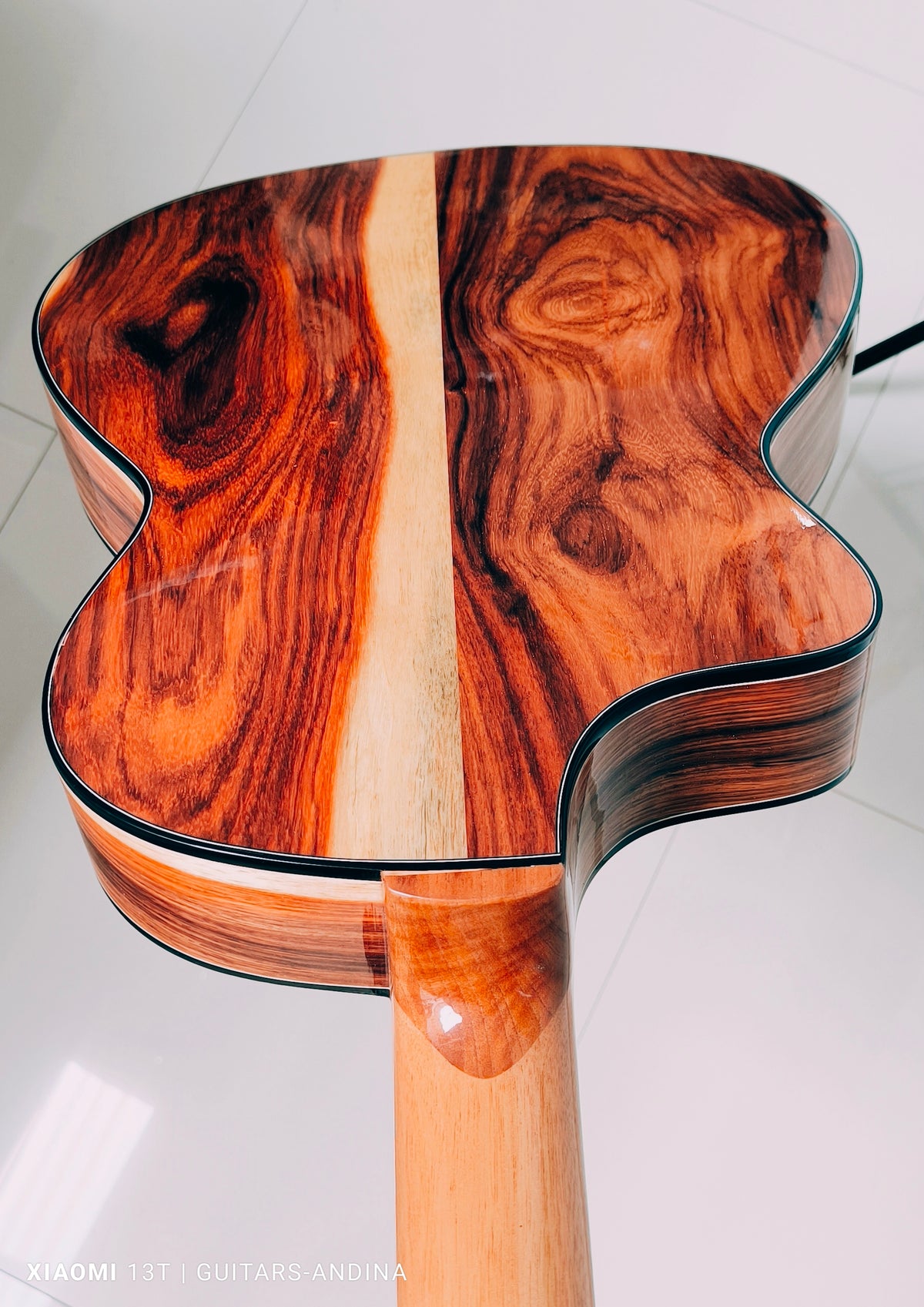 Guitarra Andina AN500 Slim Profesional - Palo de Hierro y Pino Báltico con Sistema Rlbags
