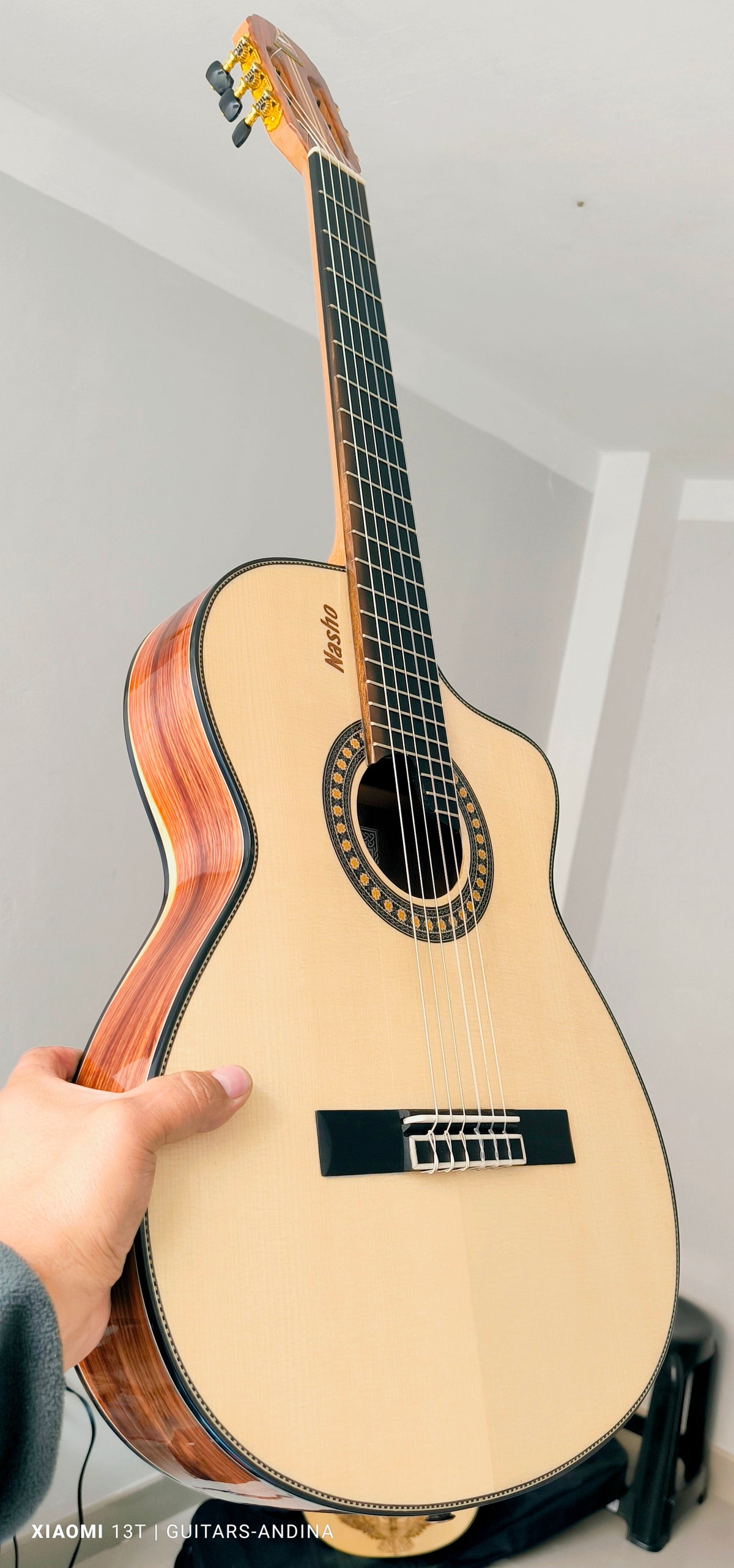 Guitarra Andina AN500 Slim Profesional - Palo de Hierro y Pino Báltico con Sistema Rlbags
