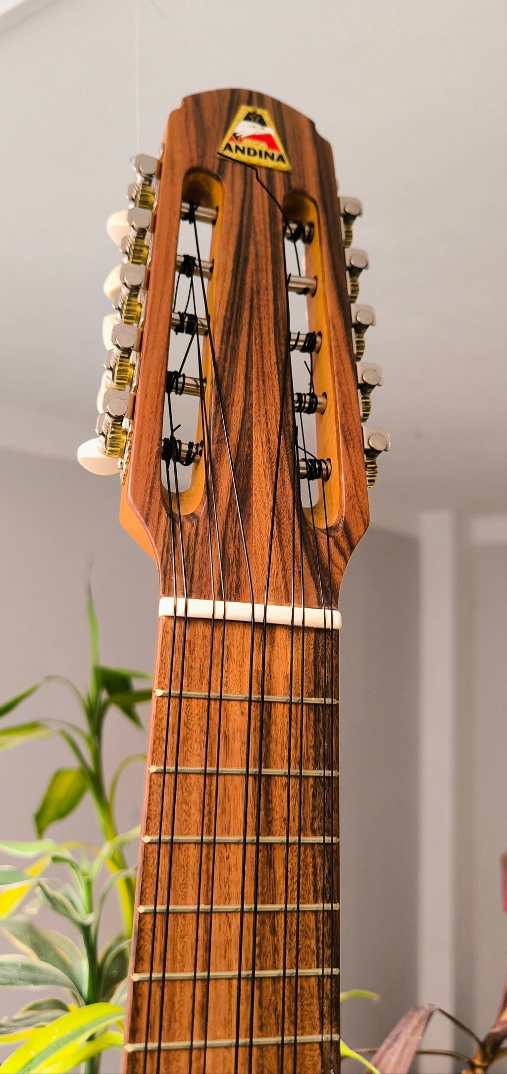Charango Andino Tallado - Artesanal con Diseño en Alto Relieve