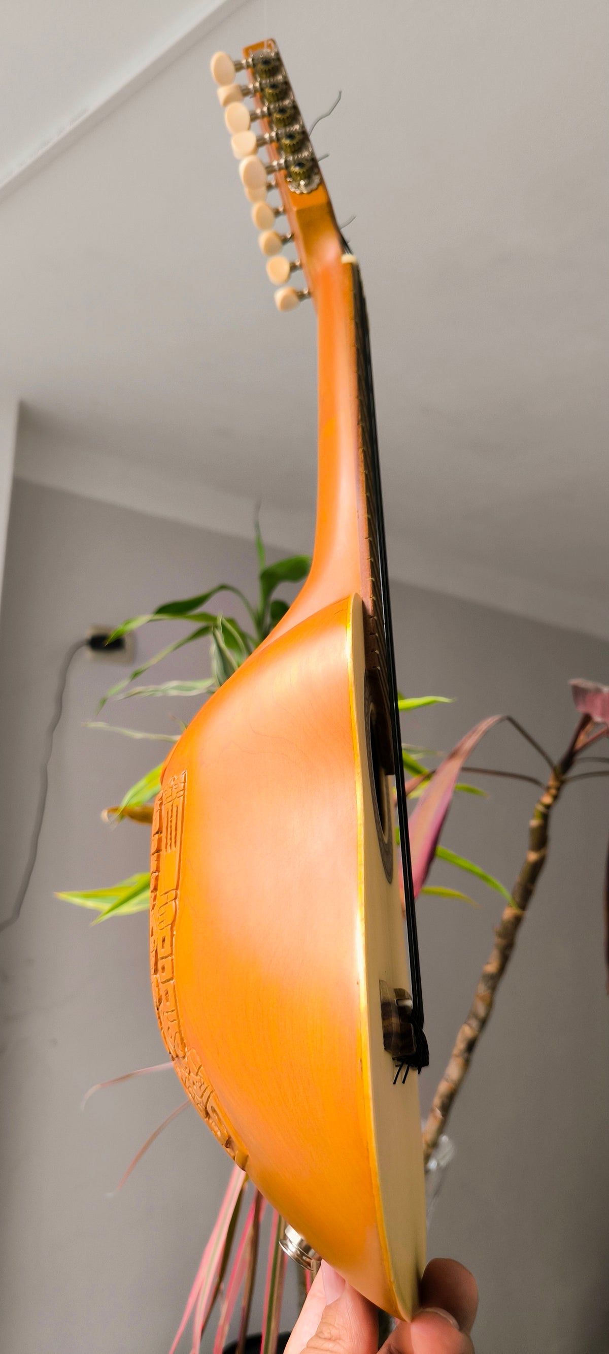 Charango Andino Tallado - Artesanal con Diseño en Alto Relieve