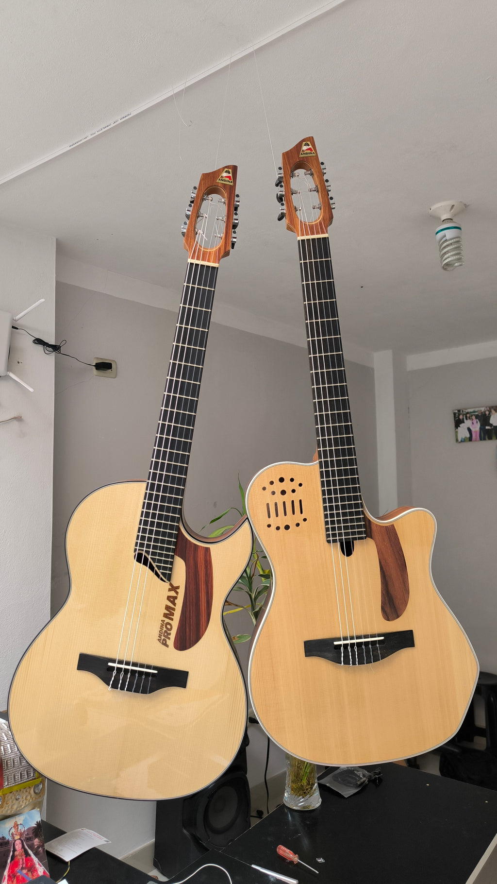 Guitarra Andina Pro Max - Electroacústica Profesional de Alta Gama