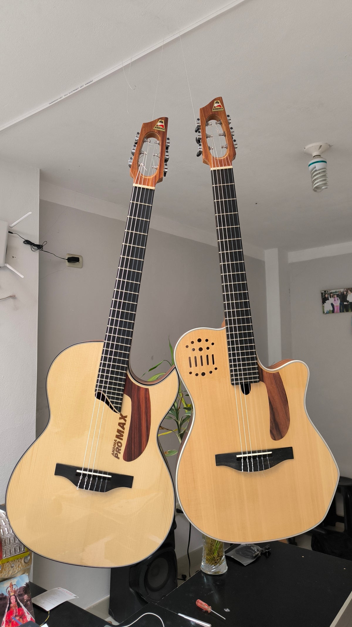 Guitarra Andina Pro Max - Electroacústica Profesional de Alta Gama