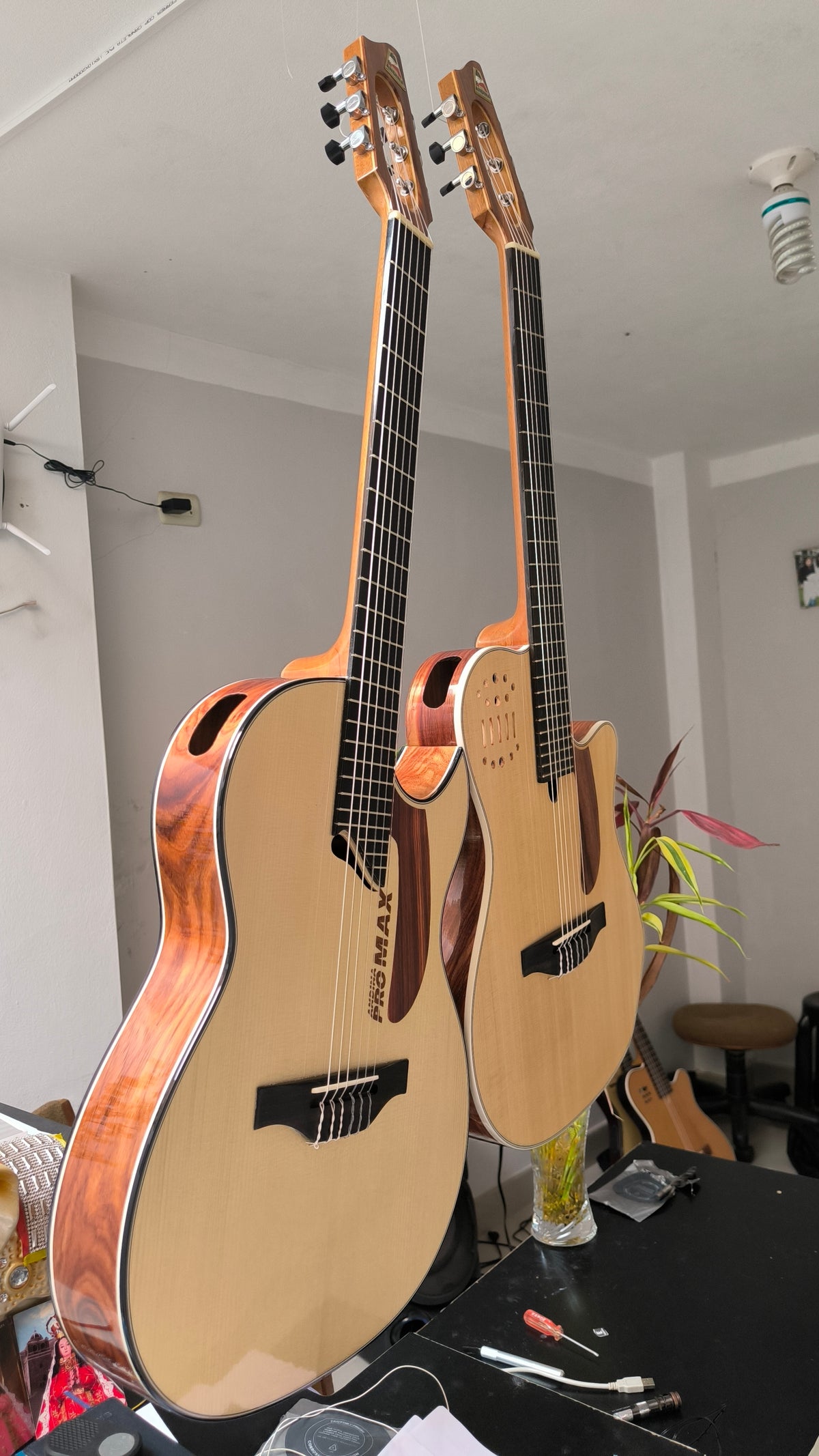 Guitarra Andina Pro Max - Electroacústica Profesional de Alta Gama