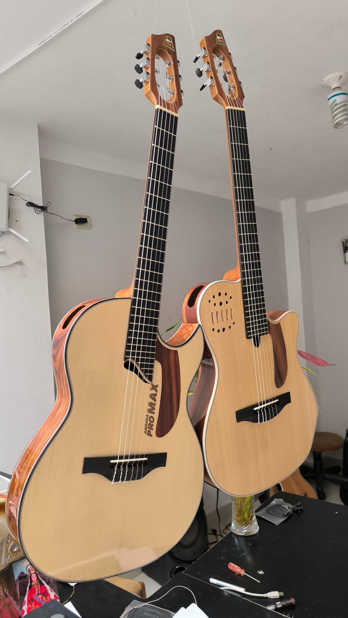 Guitarra Andina Pro Max - Electroacústica Profesional de Alta Gama