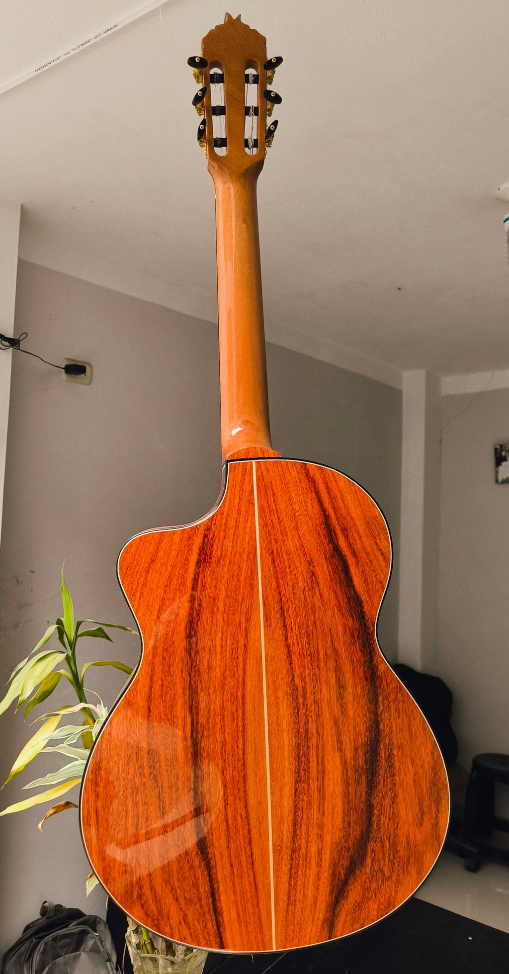 Guitarra Andina AN500 Premium Profesional - Ébano y Pino Báltico con Sistema ARTEC EDGE Z