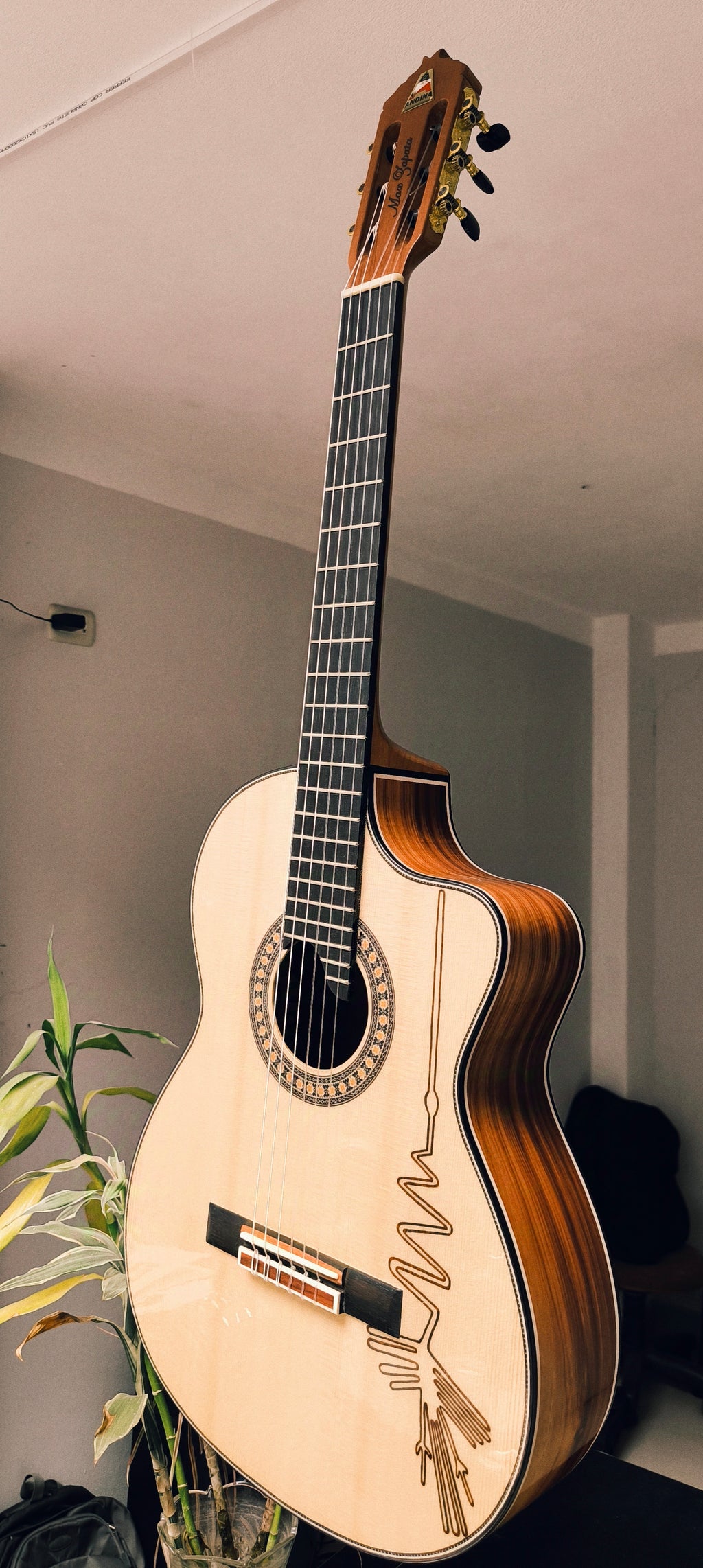 Guitarra Andina AN500 Premium Profesional - Ébano y Pino Báltico con Sistema ARTEC EDGE Z