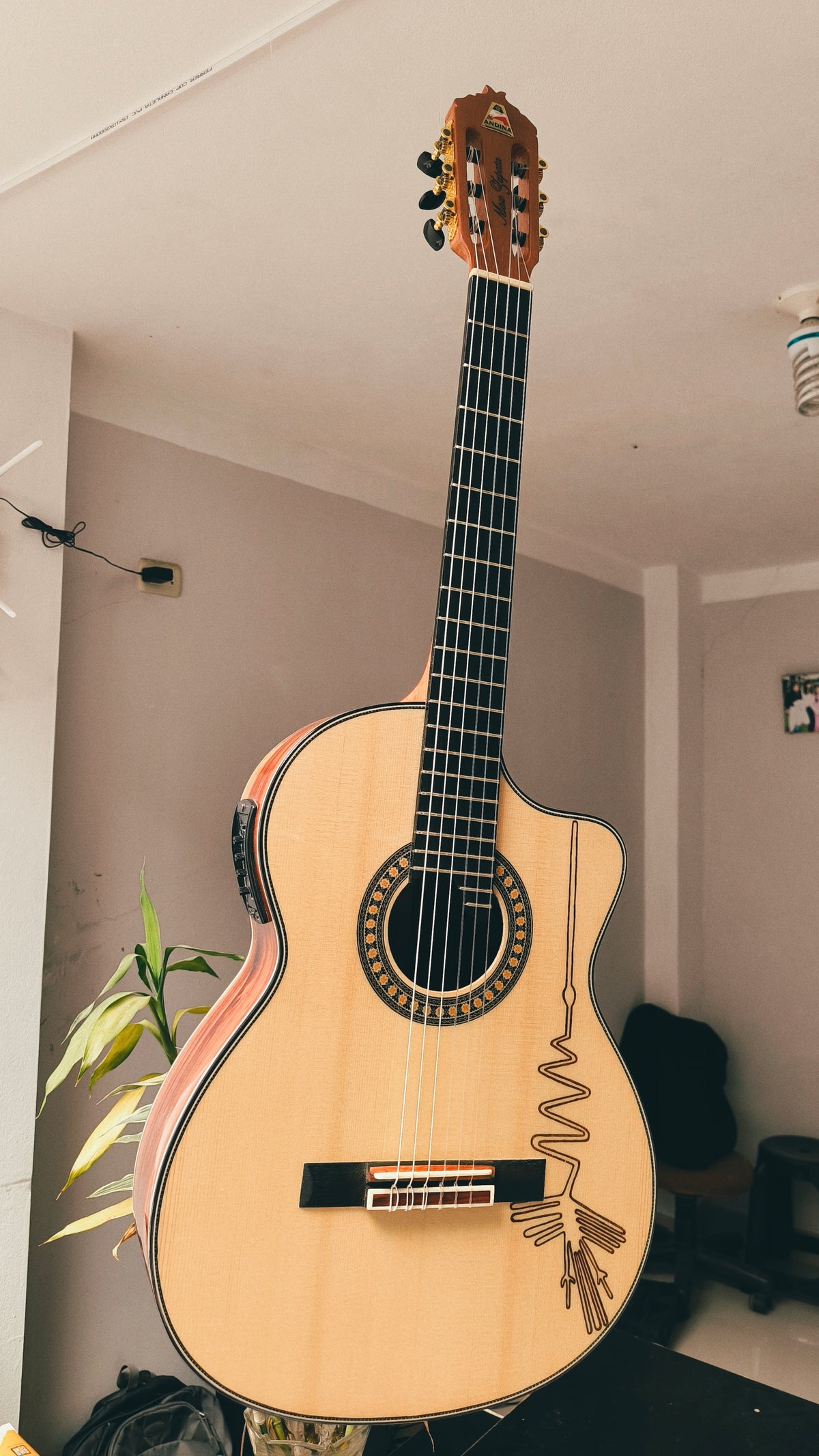 Guitarra Andina AN500 Premium Profesional - Ébano y Pino Báltico con Sistema ARTEC EDGE Z