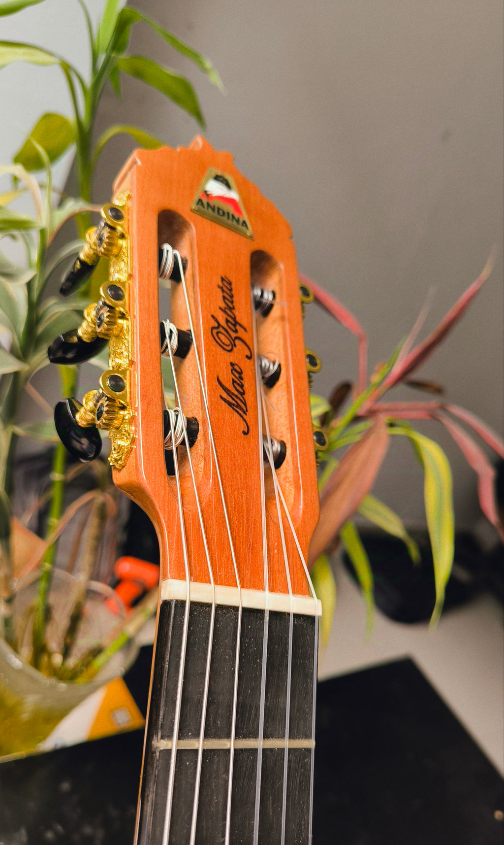 Guitarra Andina AN500 Premium Profesional - Ébano y Pino Báltico con Sistema ARTEC EDGE Z