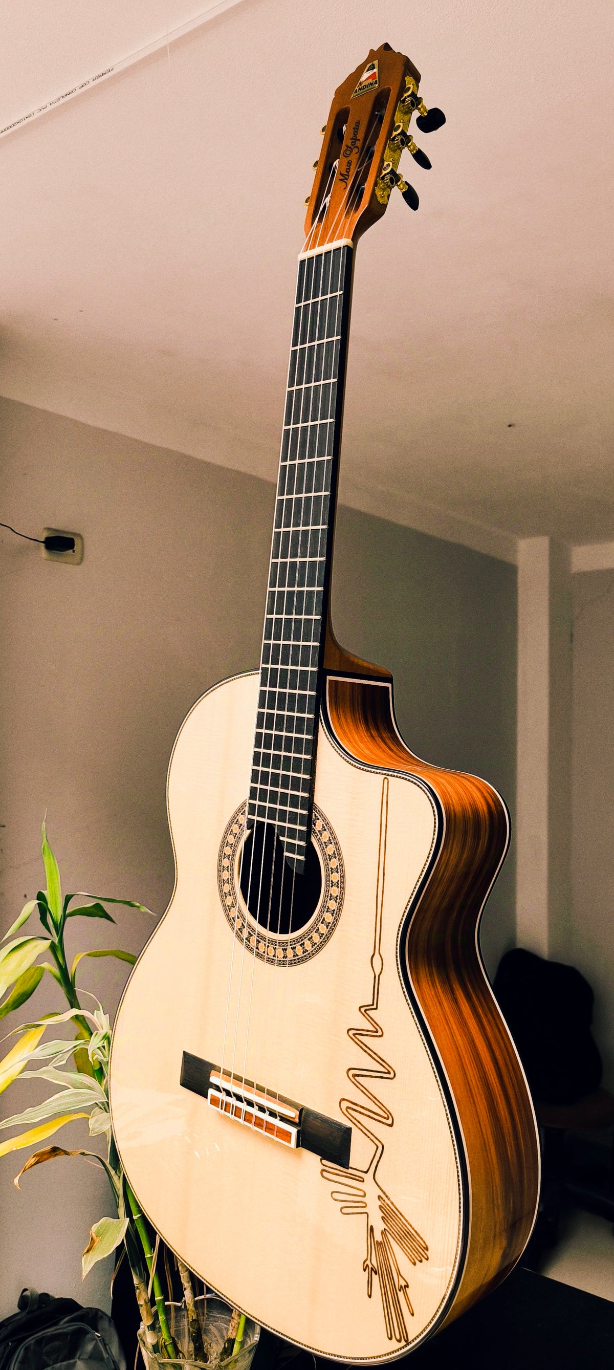 Guitarra Andina AN500 Premium Profesional - Ébano y Pino Báltico con Sistema ARTEC EDGE Z