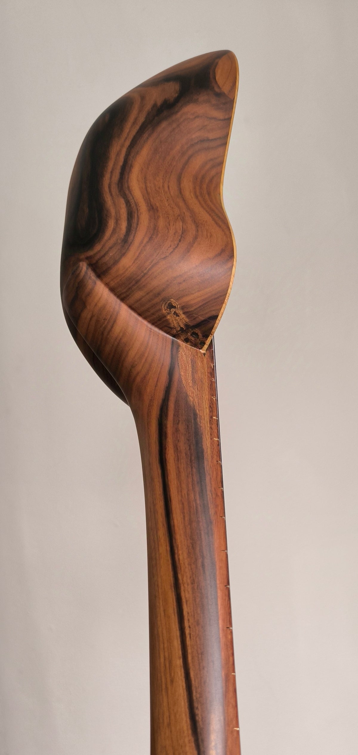 Charango Andino Profesional - Tallado en Jacarandá con Sistema Fishman Sonitone