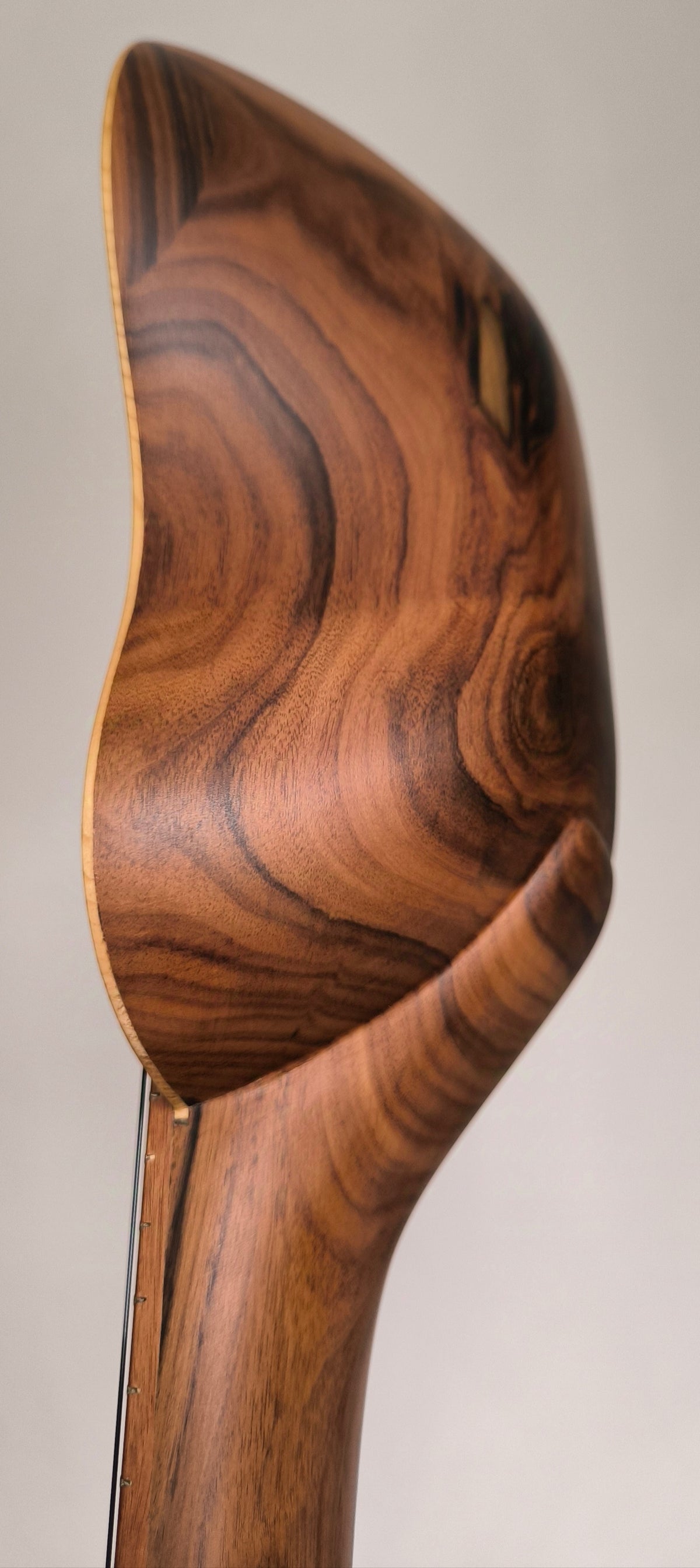 Charango Andino Profesional - Tallado en Jacarandá con Sistema Fishman Sonitone