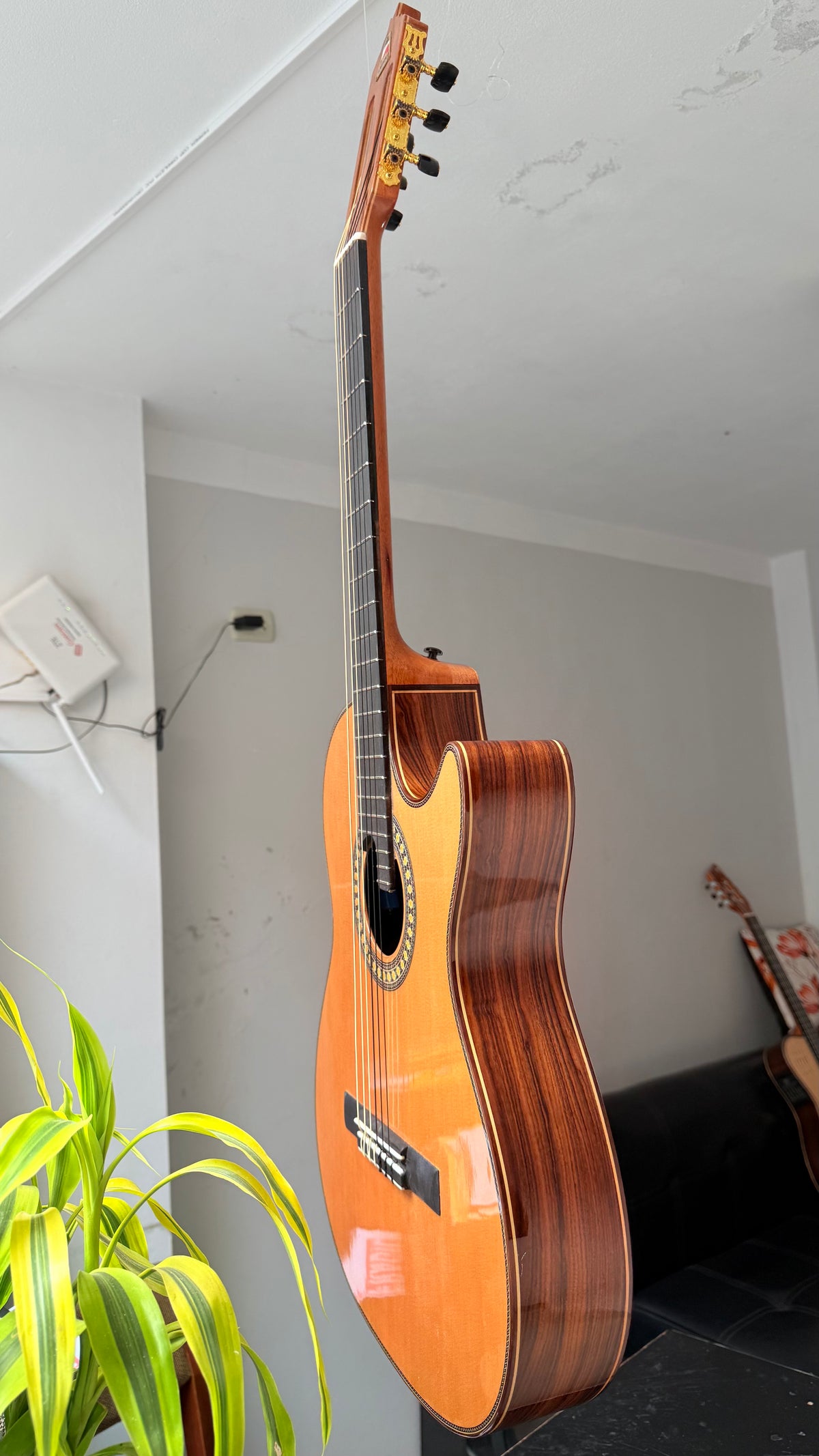 Guitarra Andina Sendal - Electroacústica Profesional con Tecnología Bluetooth