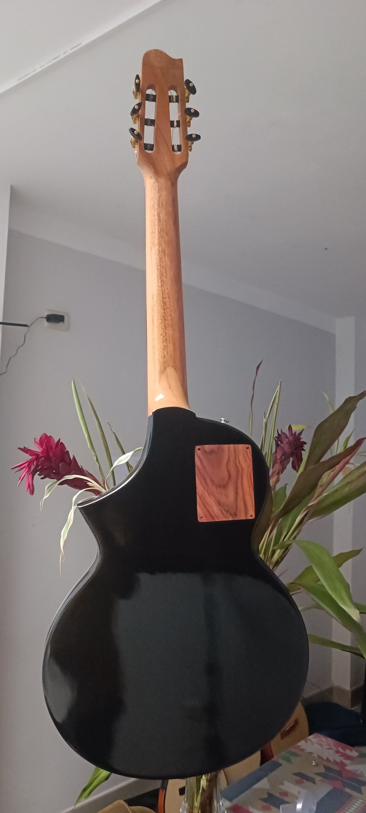 Guitarra Andina Gorrión Semisólida - Electroacústica con Doble Boca