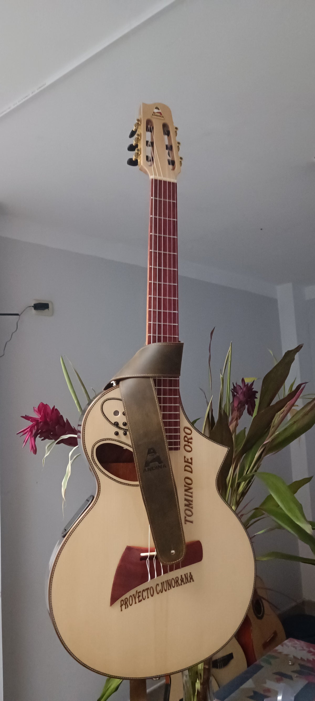 Guitarra Andina Gorrión Semisólida - Electroacústica con Doble Boca