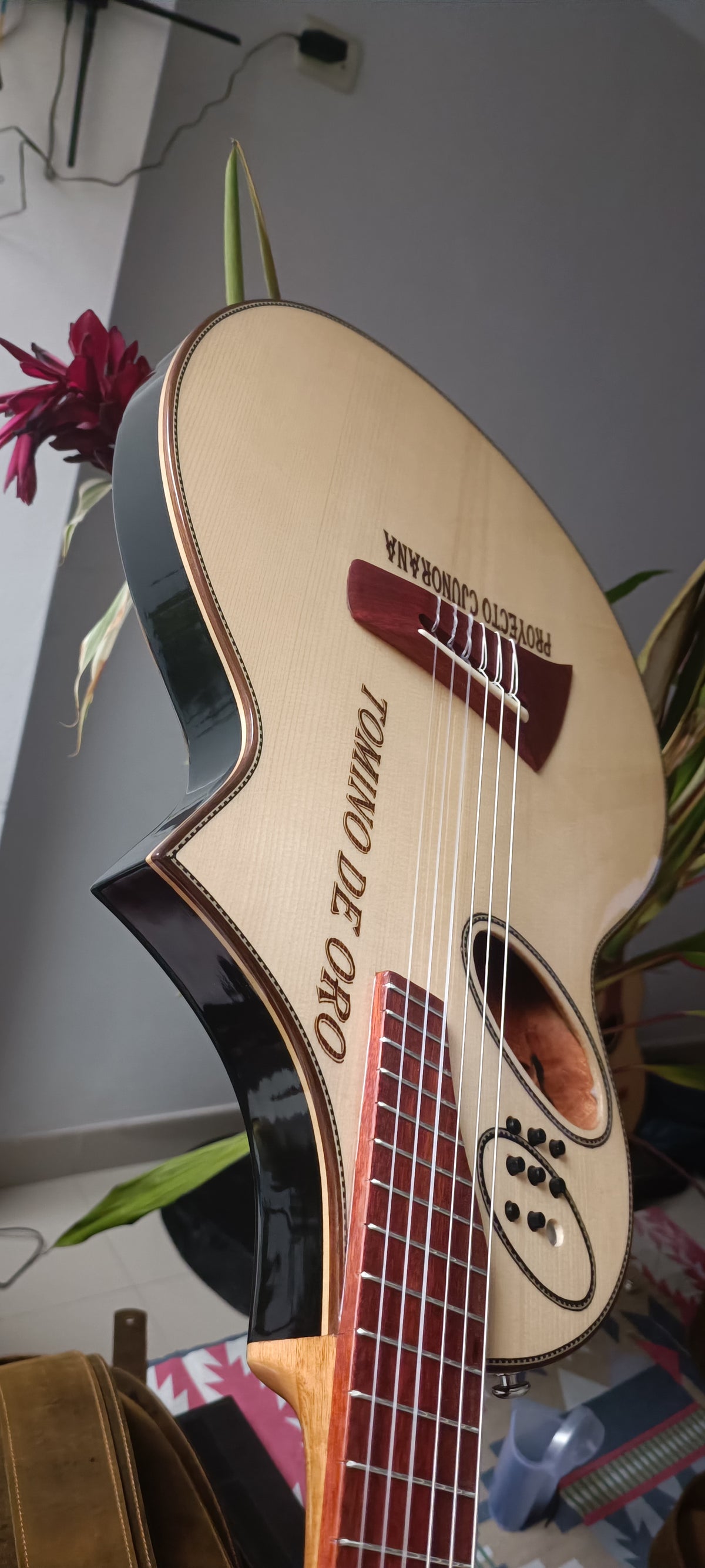 Guitarra Andina Gorrión Semisólida - Electroacústica con Doble Boca