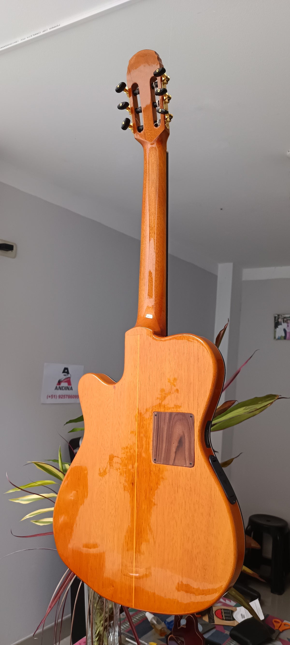 Guitarra Andina 001 Pro Matrix - Semisólida con Sistema Fishman Matrix Infinity