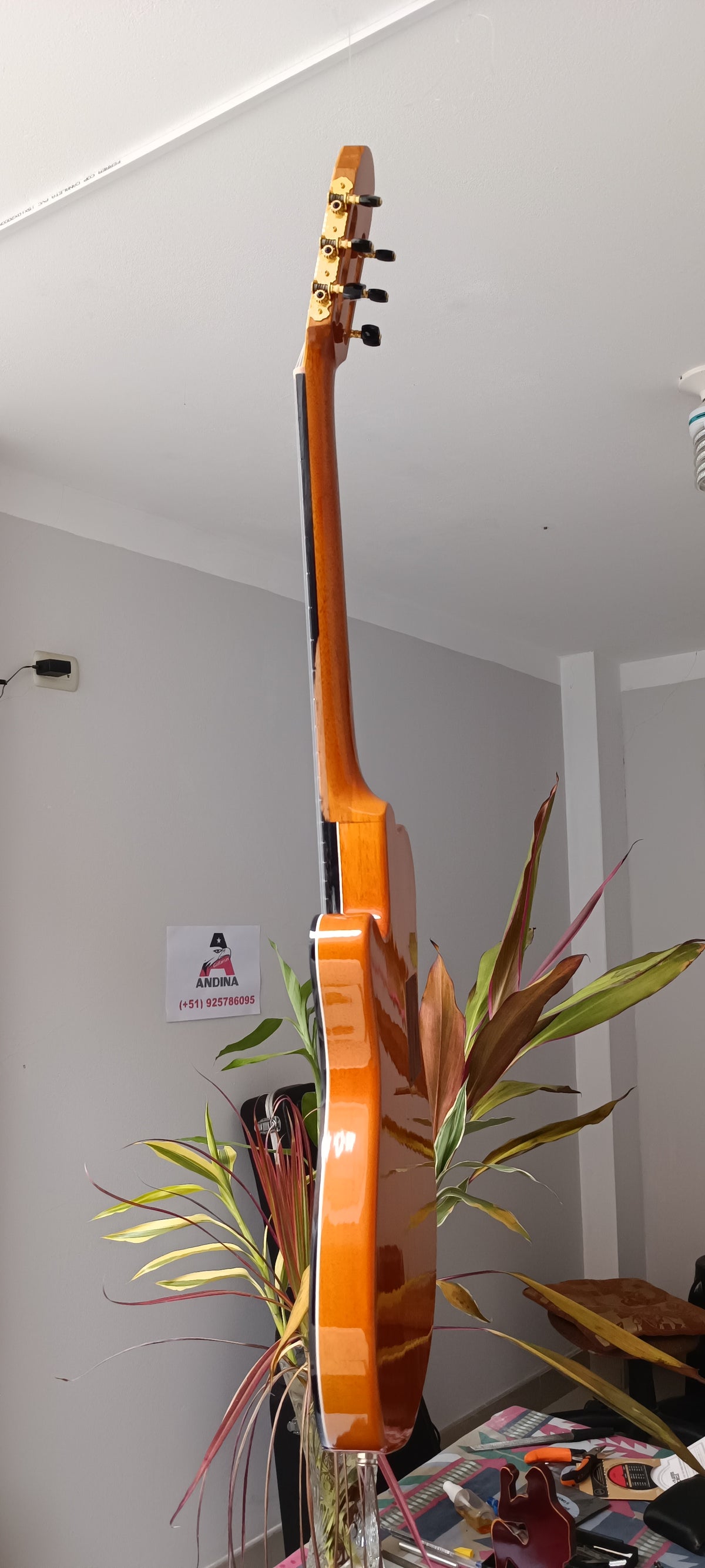 Guitarra Andina 001 Pro Matrix - Semisólida con Sistema Fishman Matrix Infinity
