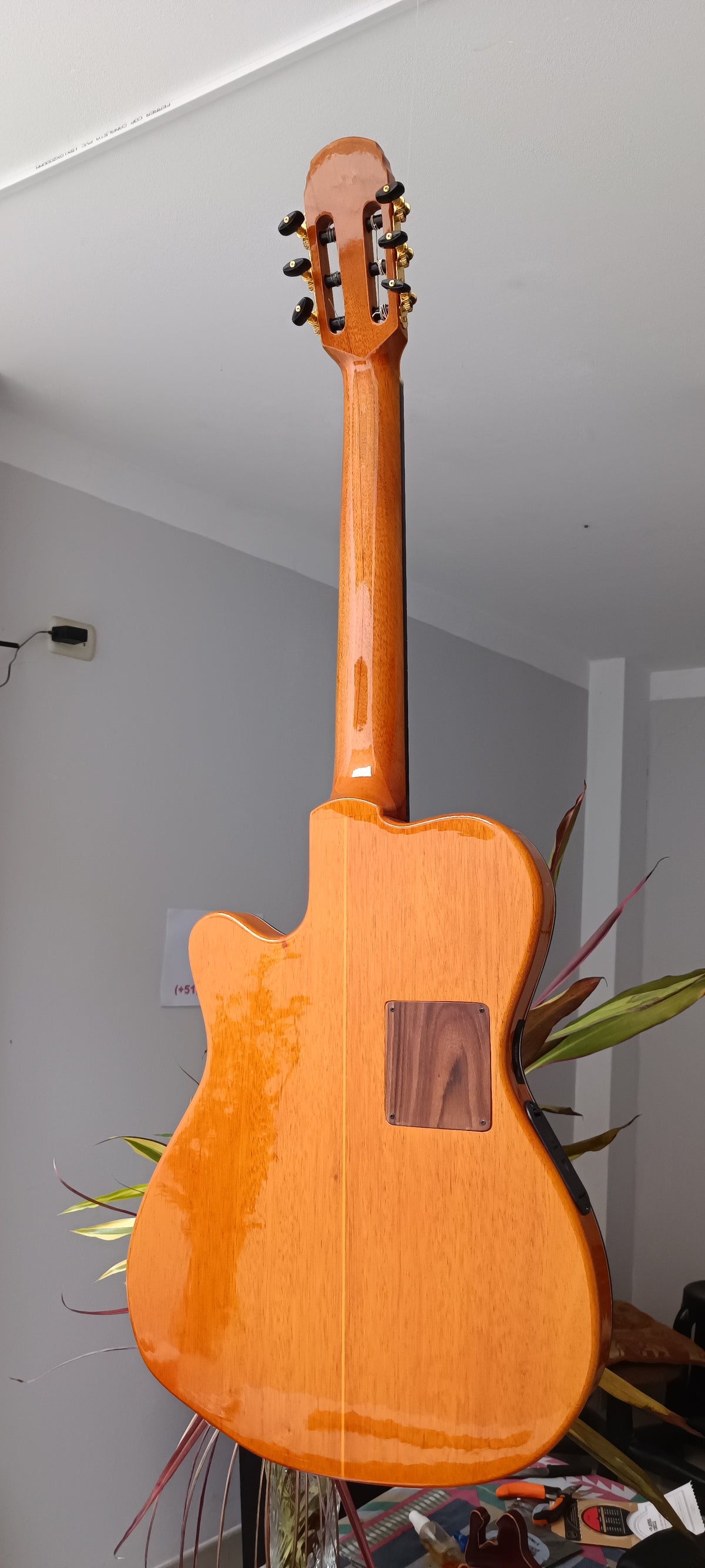 Guitarra Andina 001 Pro Matrix - Semisólida con Sistema Fishman Matrix Infinity