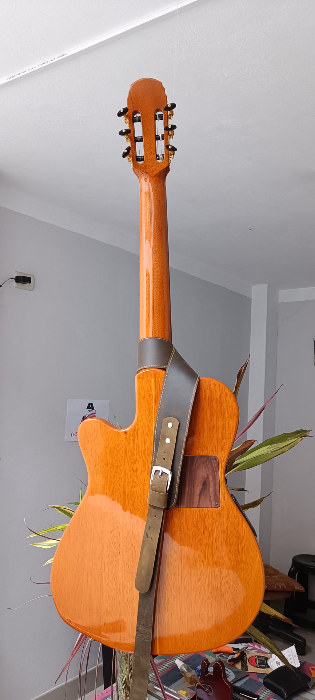 Guitarra Andina 001 Pro Matrix - Semisólida con Sistema Fishman Matrix Infinity
