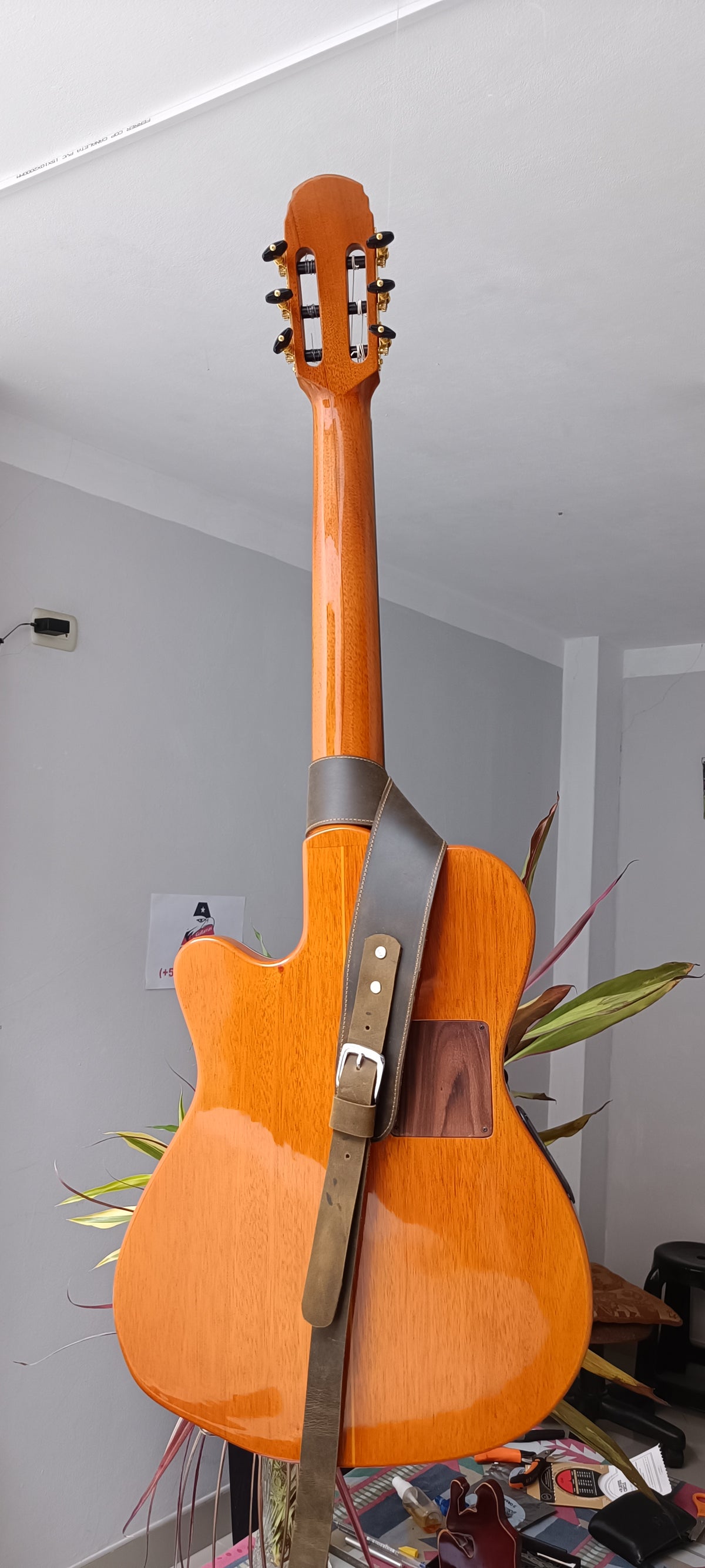 Guitarra Andina 001 Pro Matrix - Semisólida con Sistema Fishman Matrix Infinity