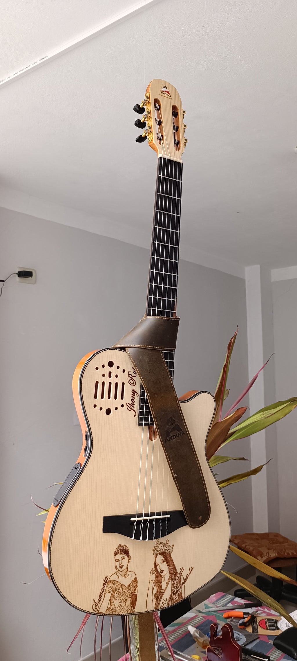 Guitarra Andina 001 Pro Matrix - Semisólida con Sistema Fishman Matrix Infinity